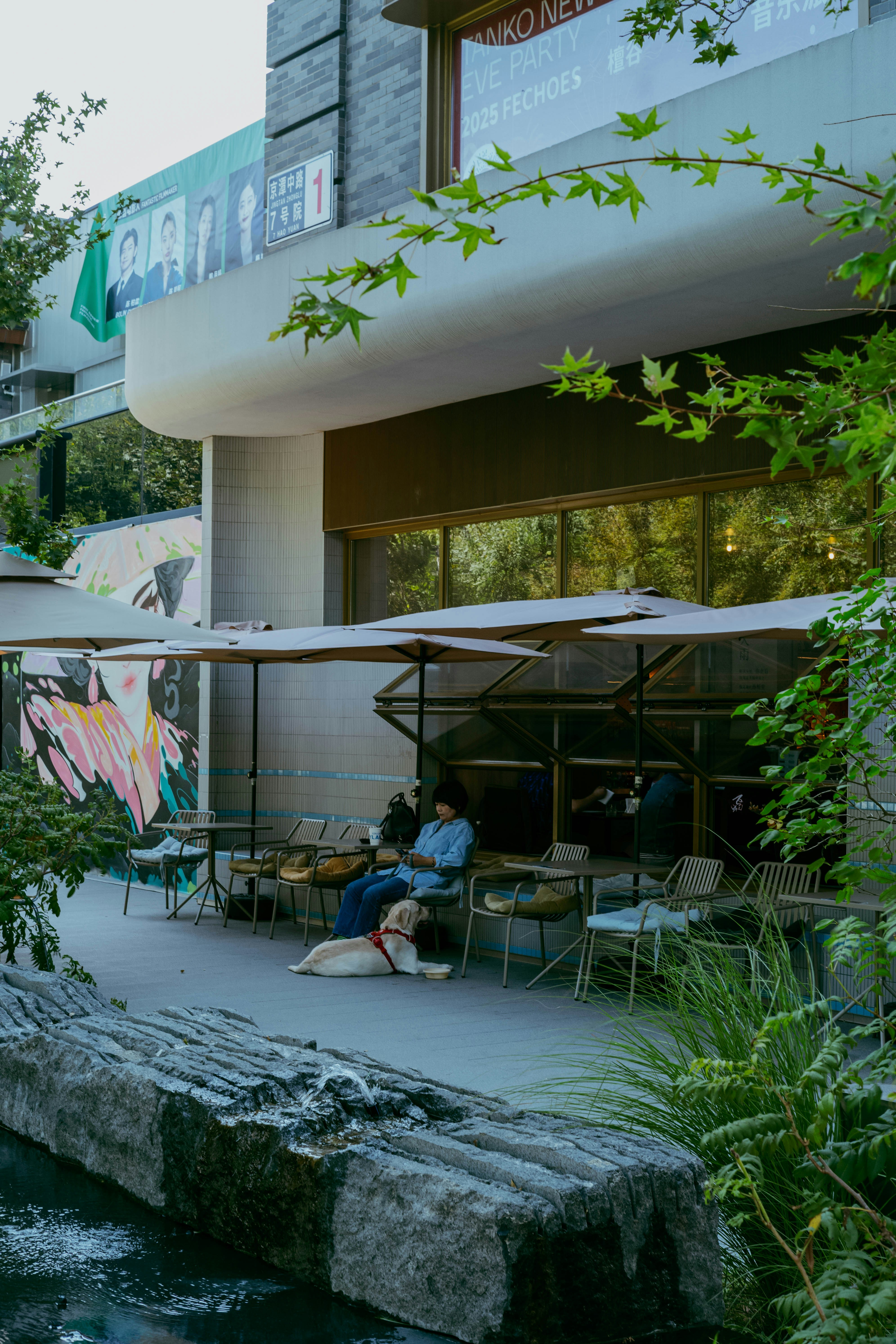 Photo by tommaomaoer