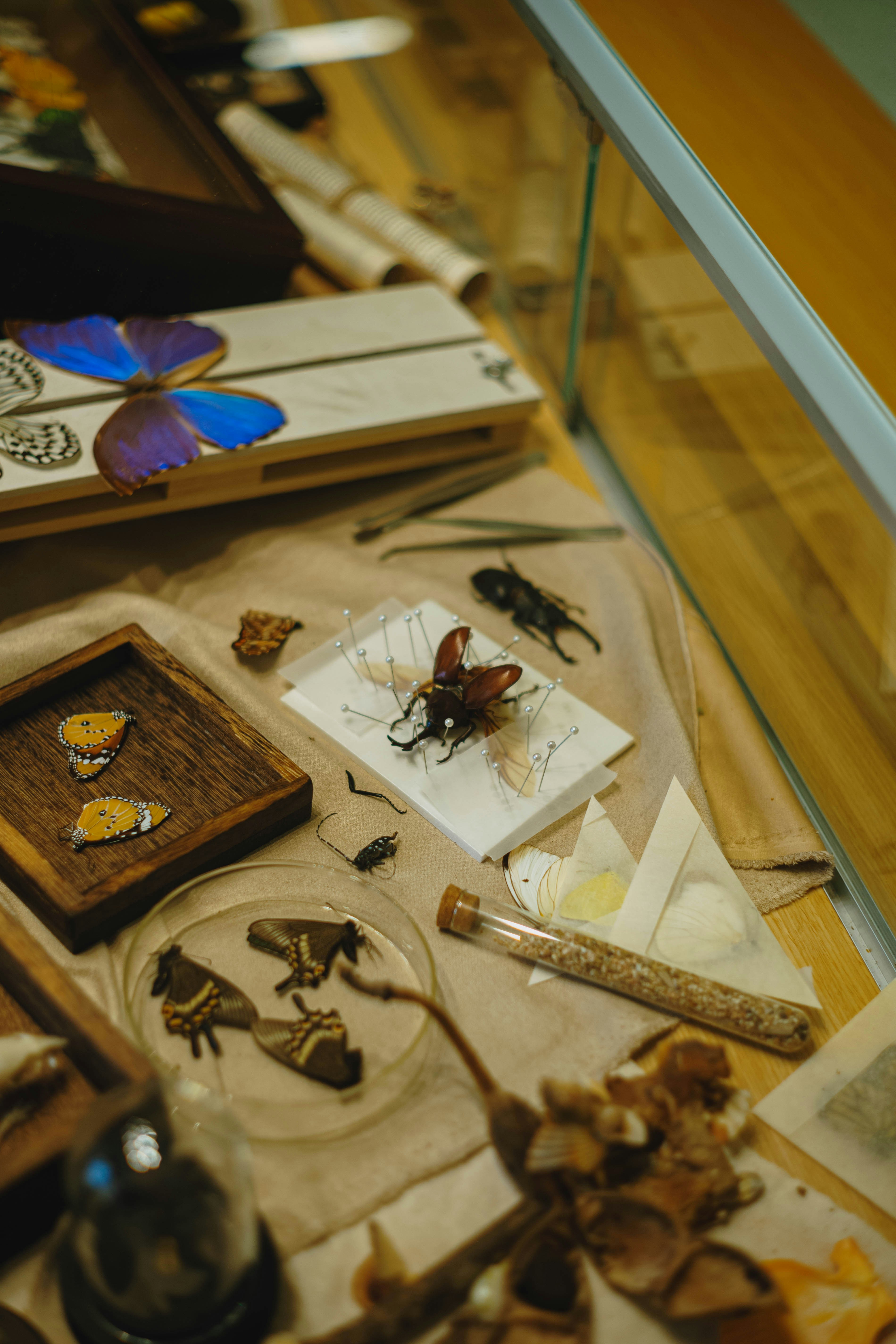 Photo by tommaomaoer