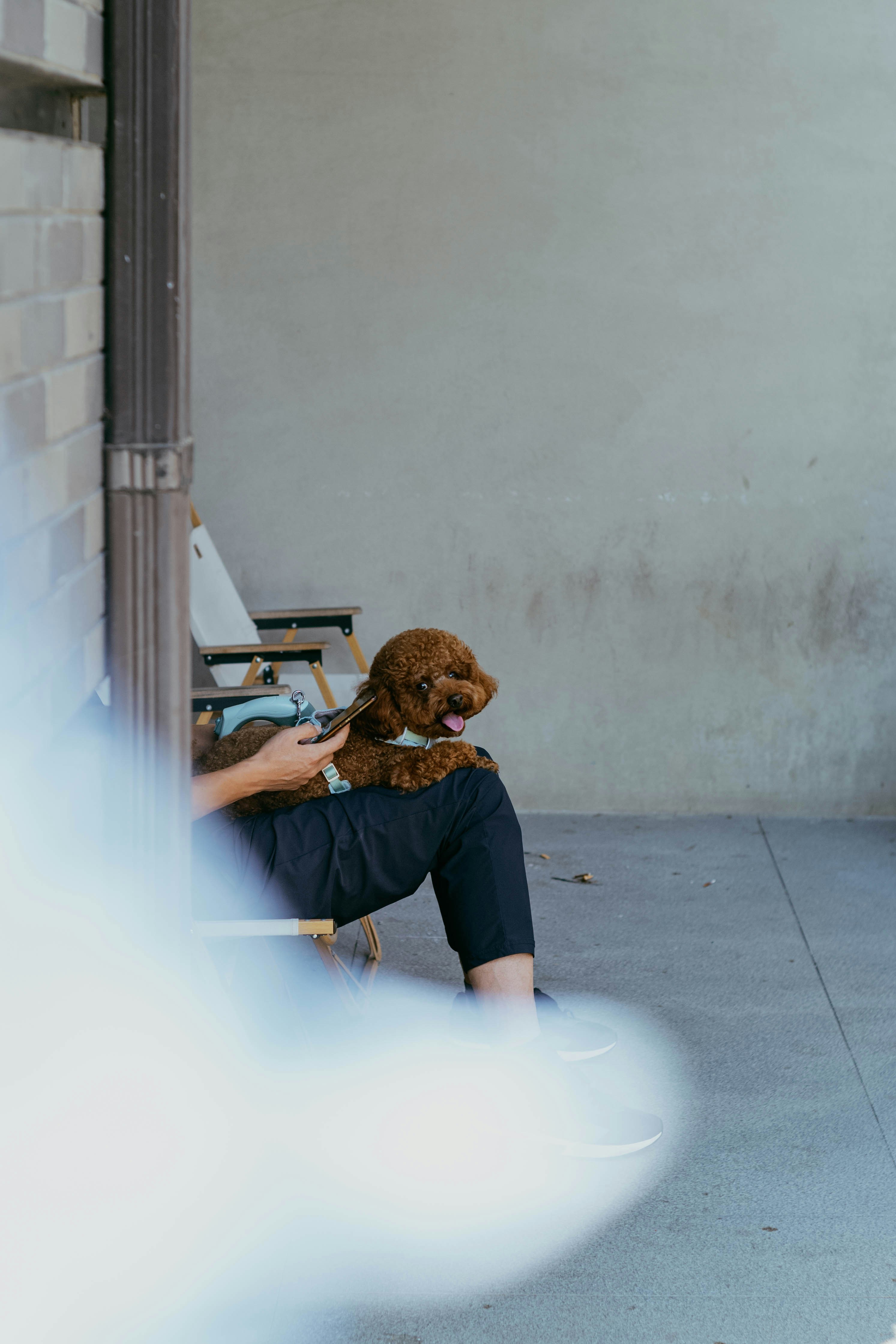 Photo by tommaomaoer