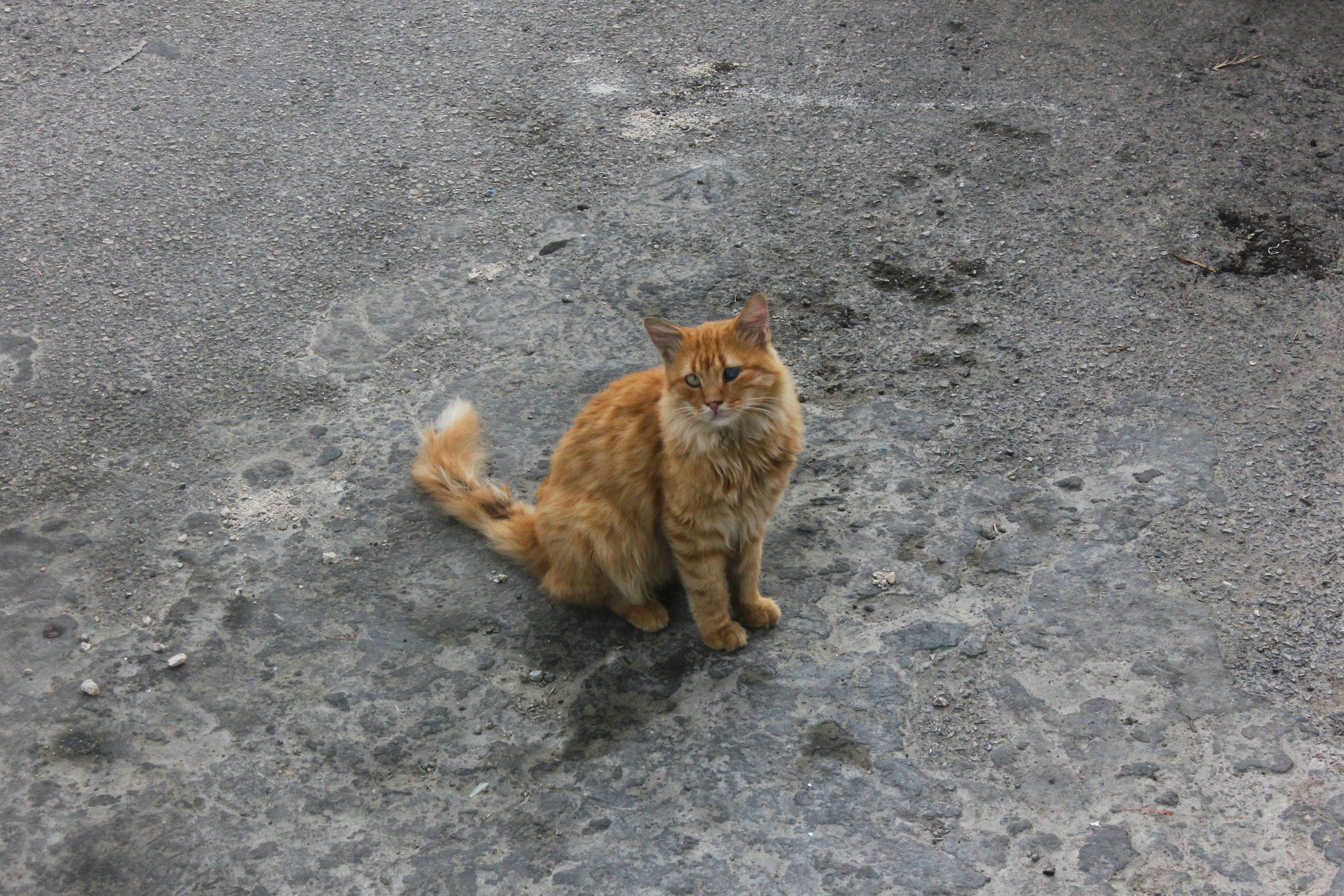 Photo by christellehayek