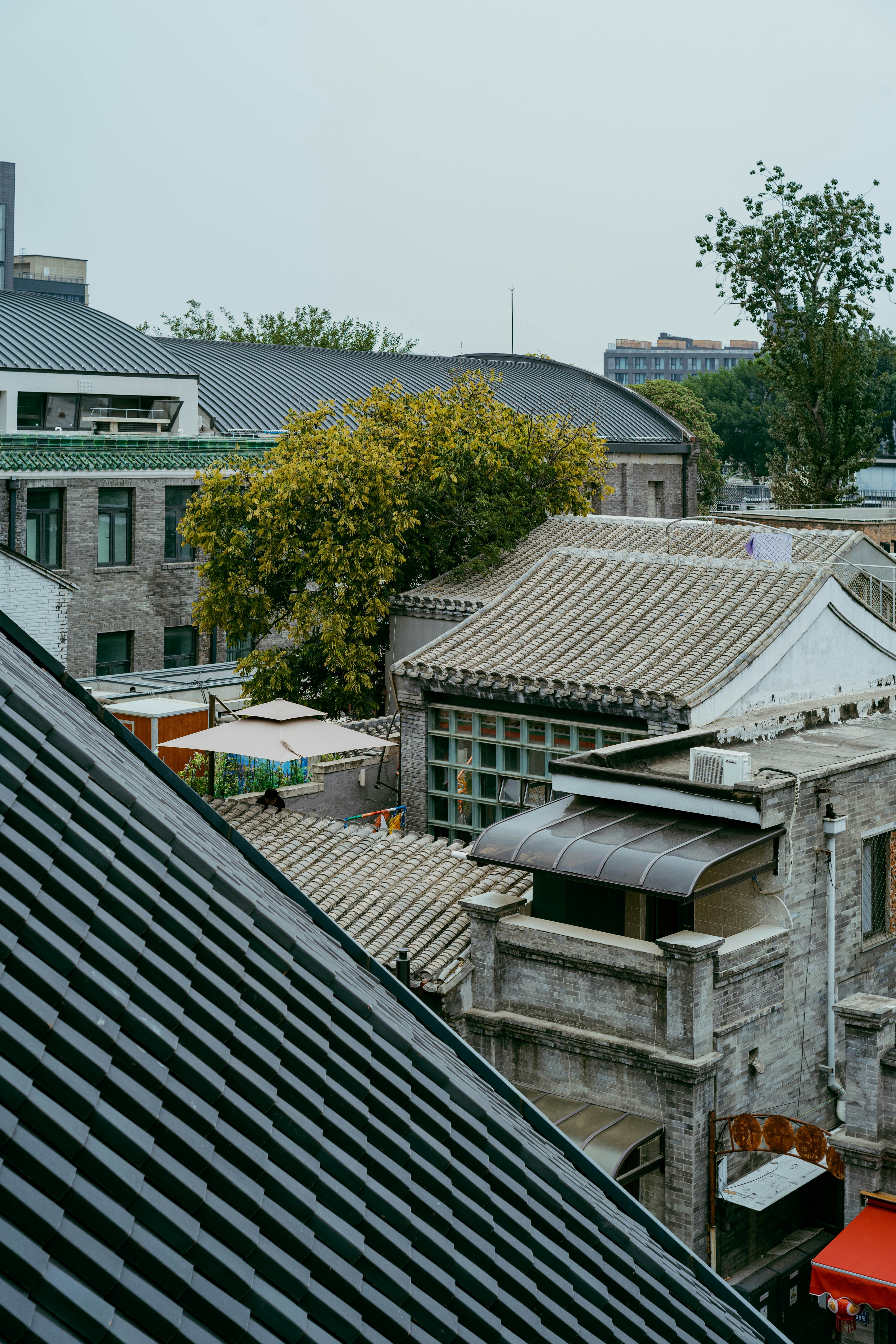 Azoteas de edificios tradicionales con un árbol.