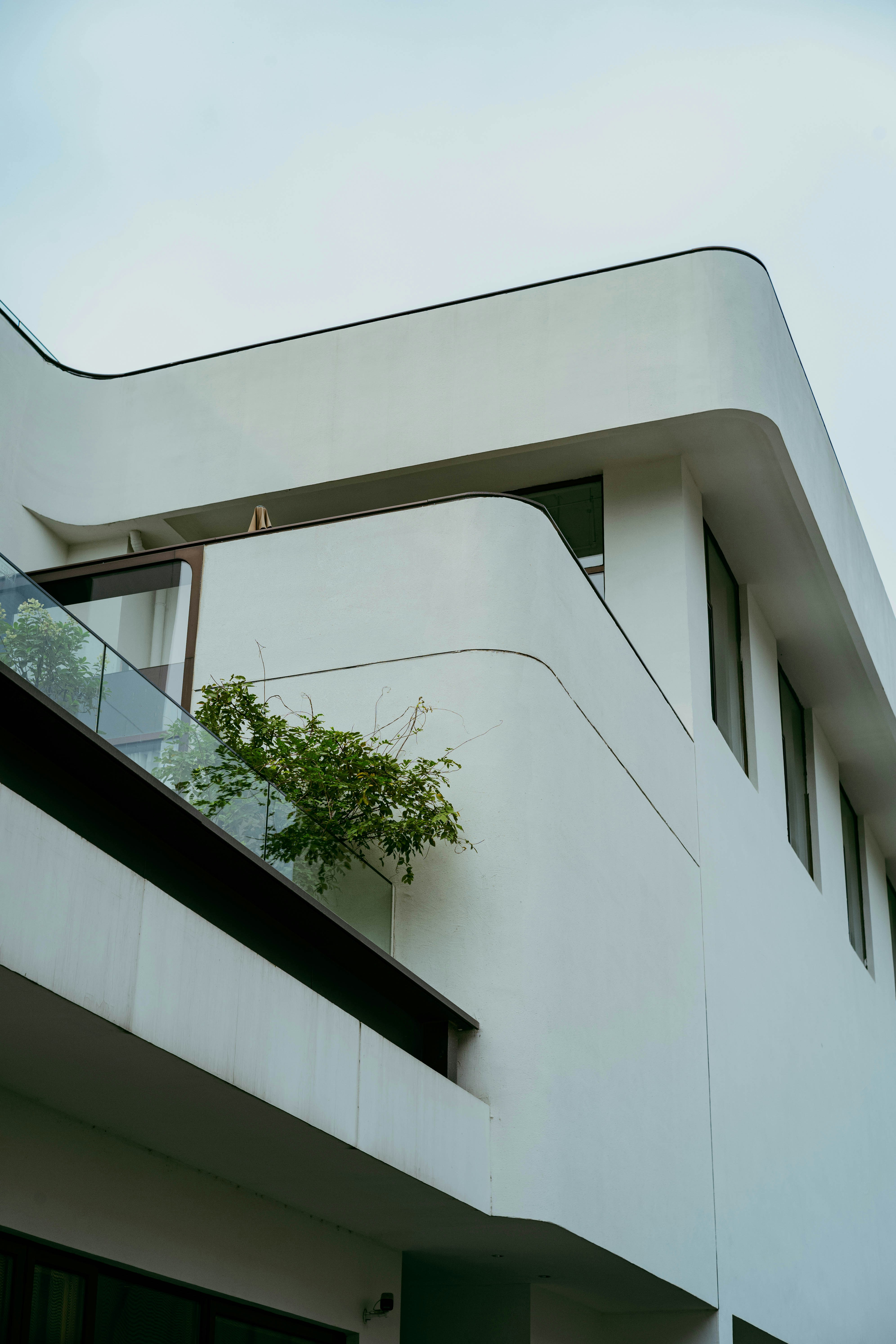 Photo by tommaomaoer