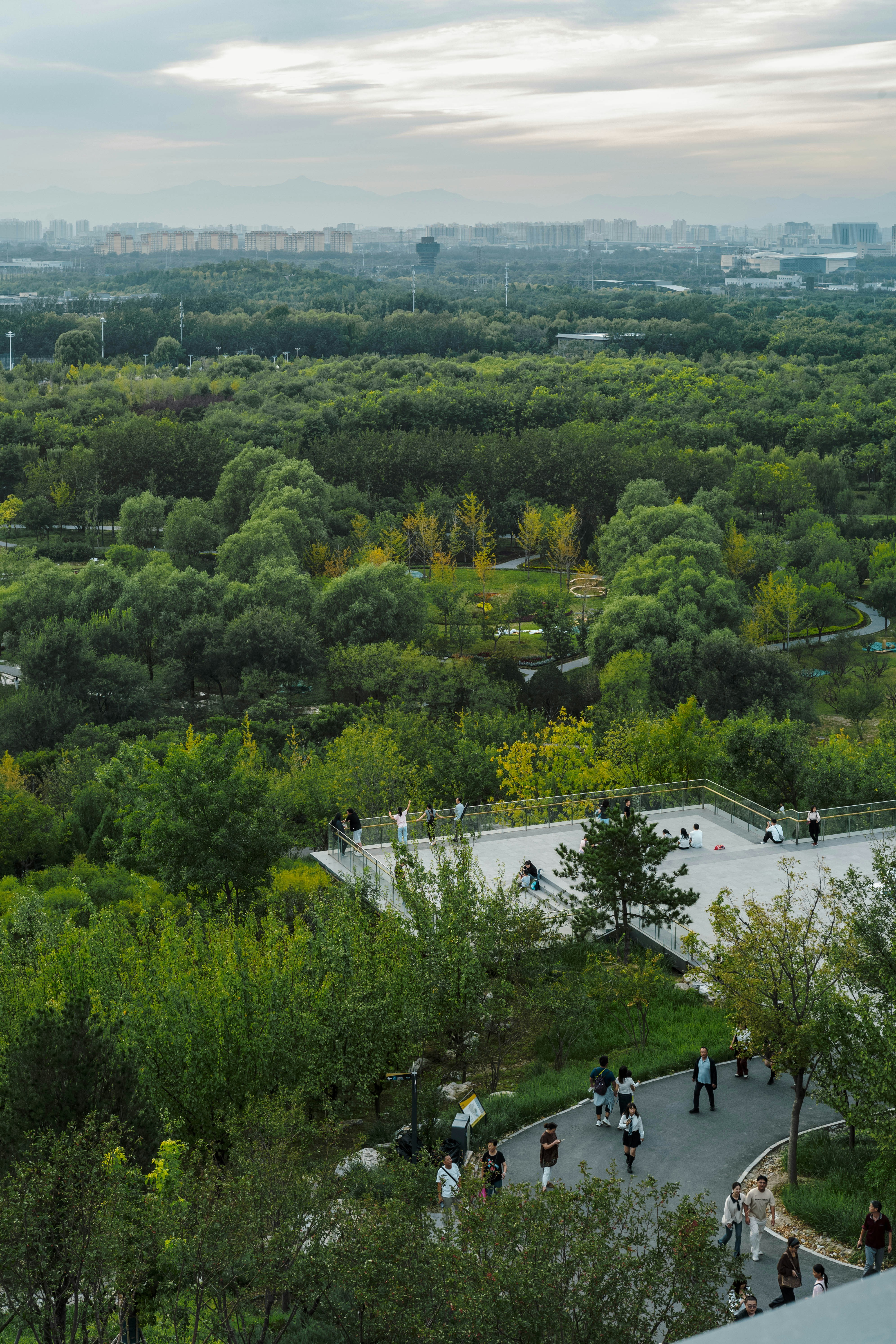 People walking through a lush green park with city buildings