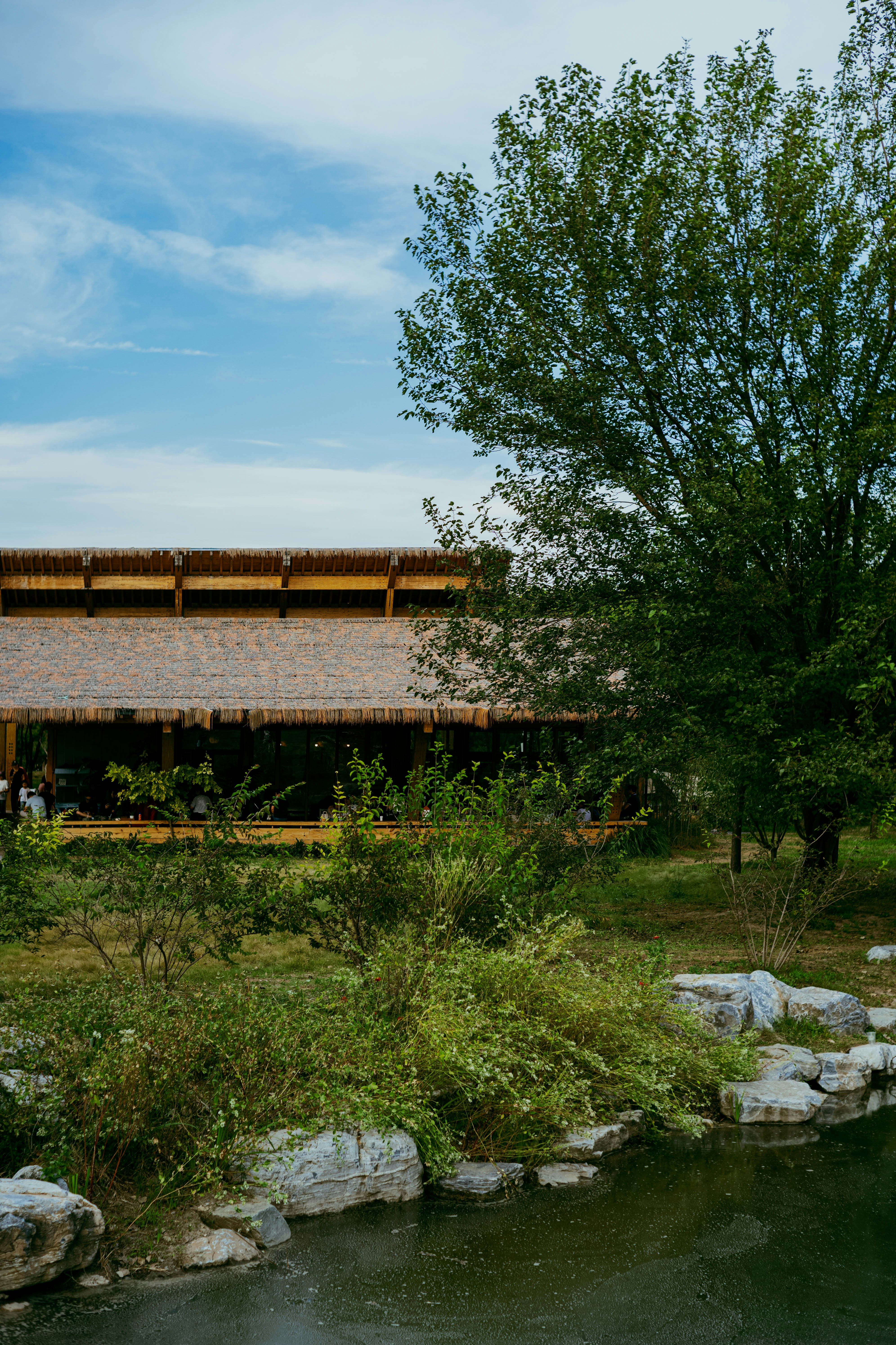 Photo by tommaomaoer