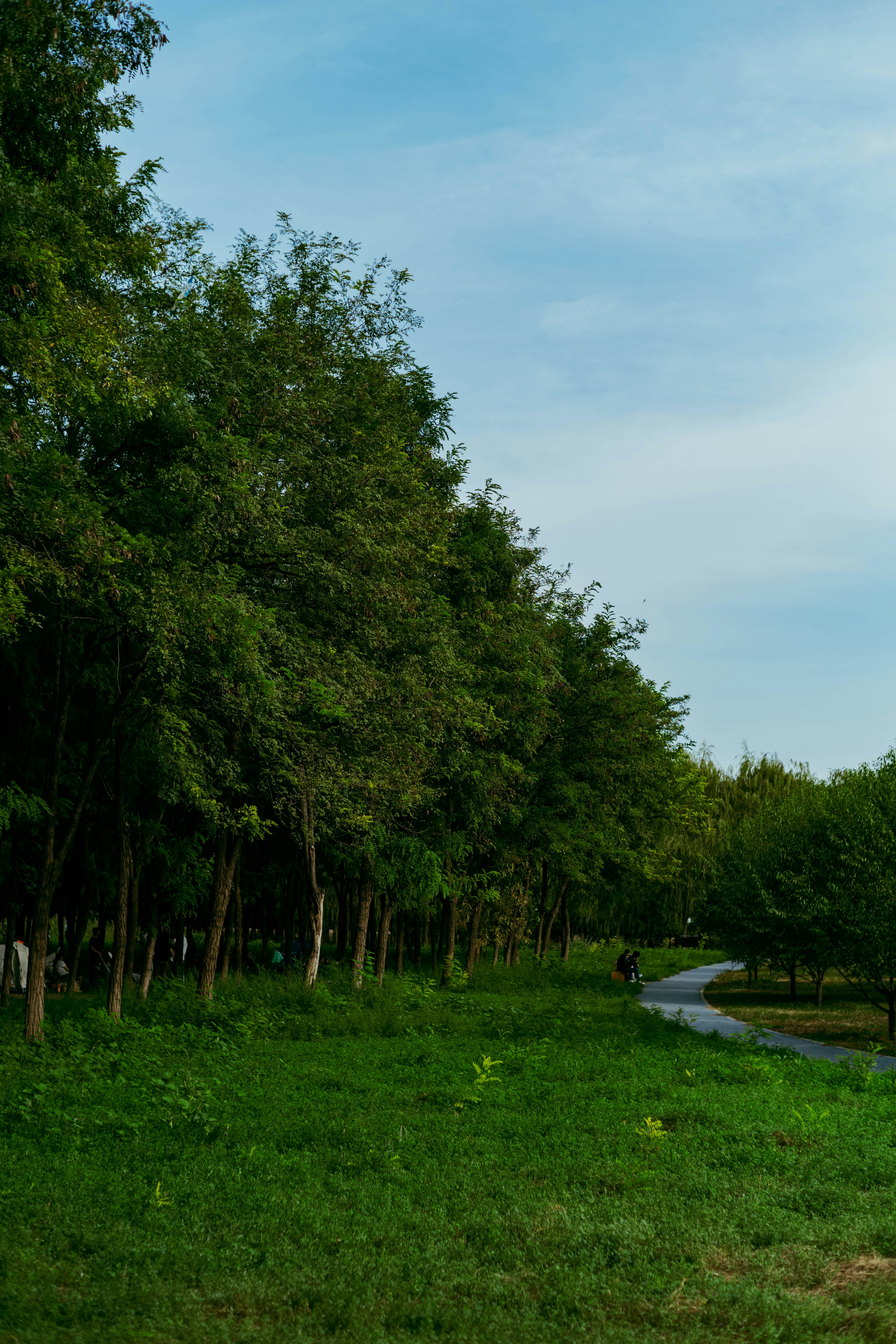 Photo by tommaomaoer