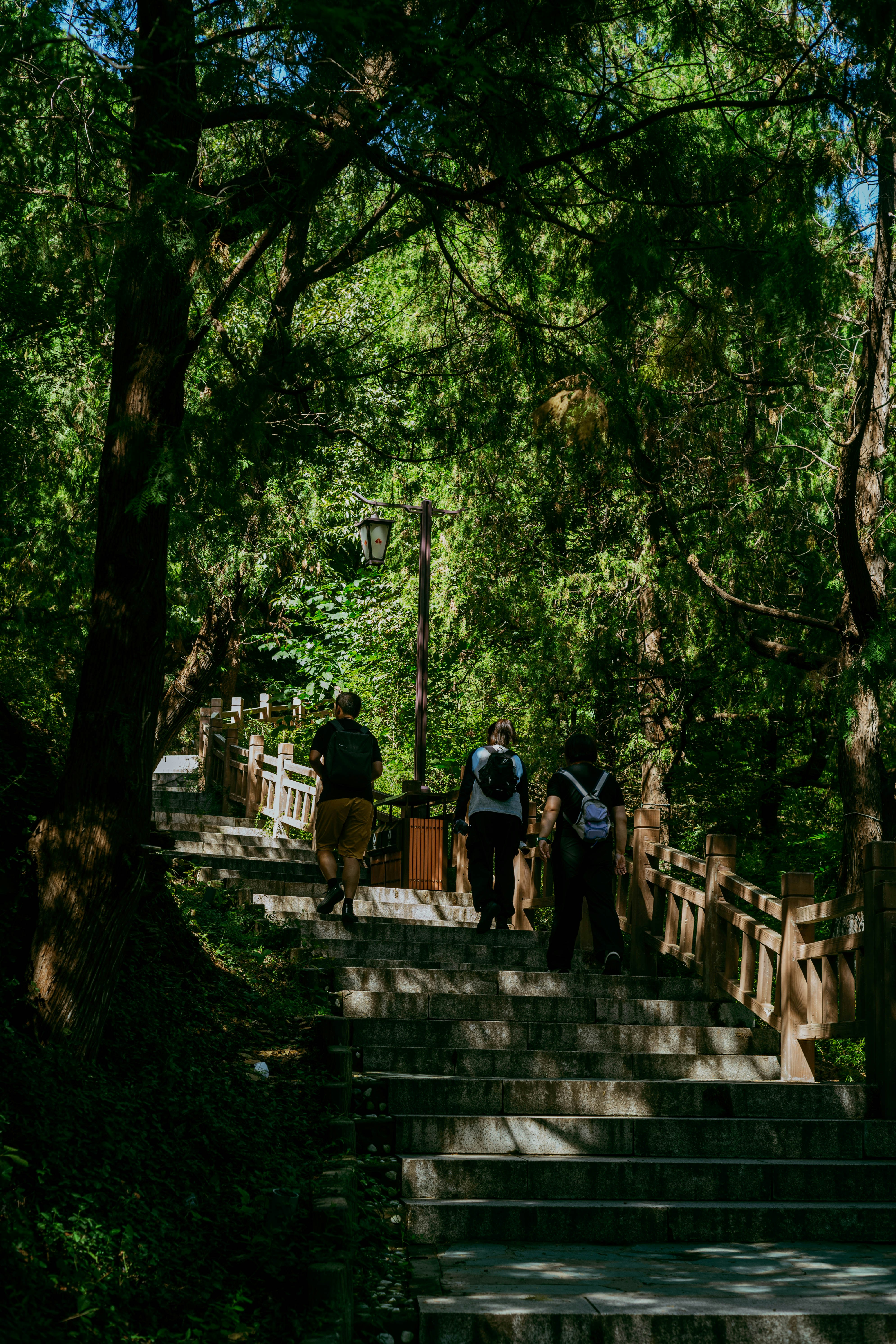 Photo by tommaomaoer