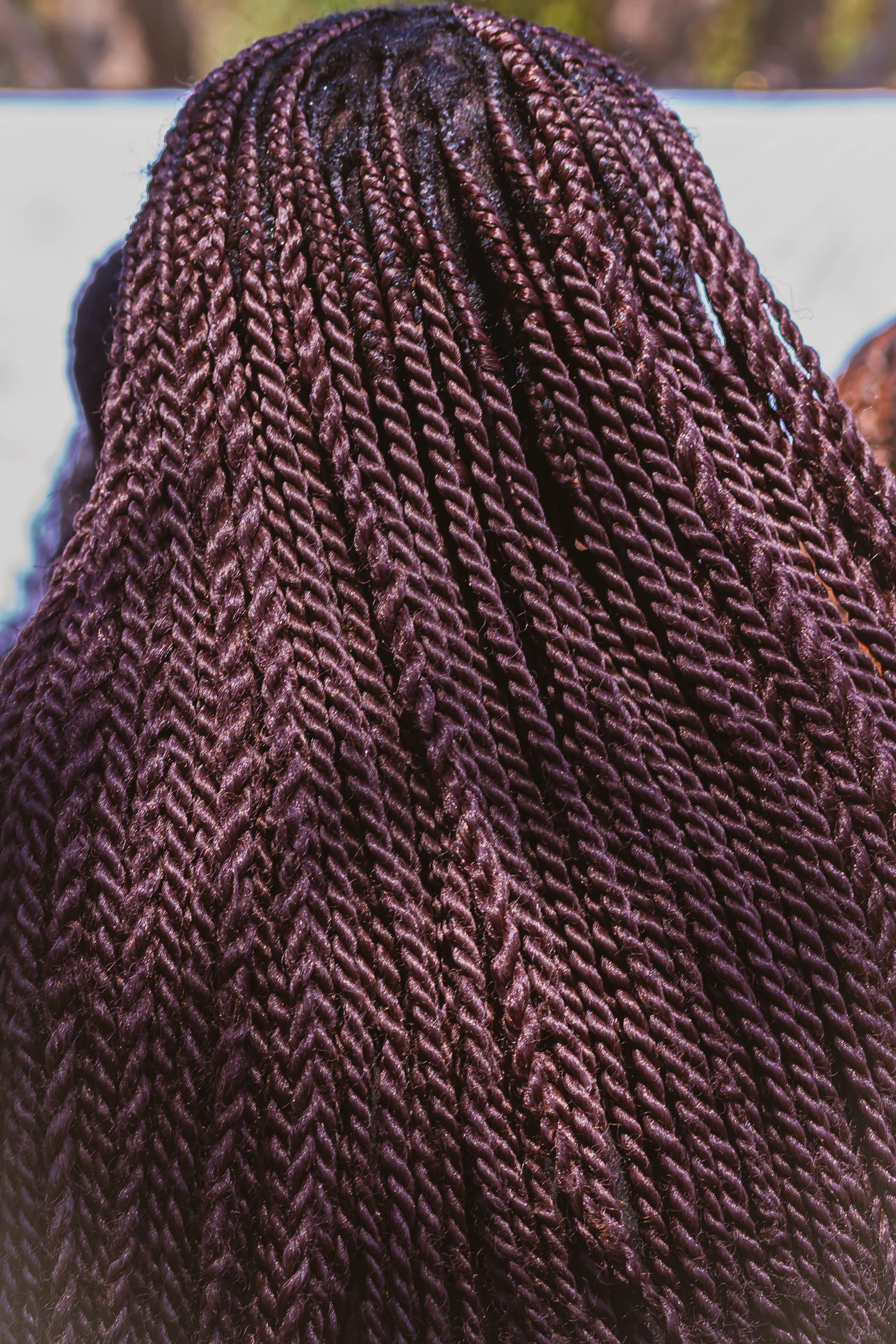 Calm close-up of long, dark braided hair against a warm neutral background
