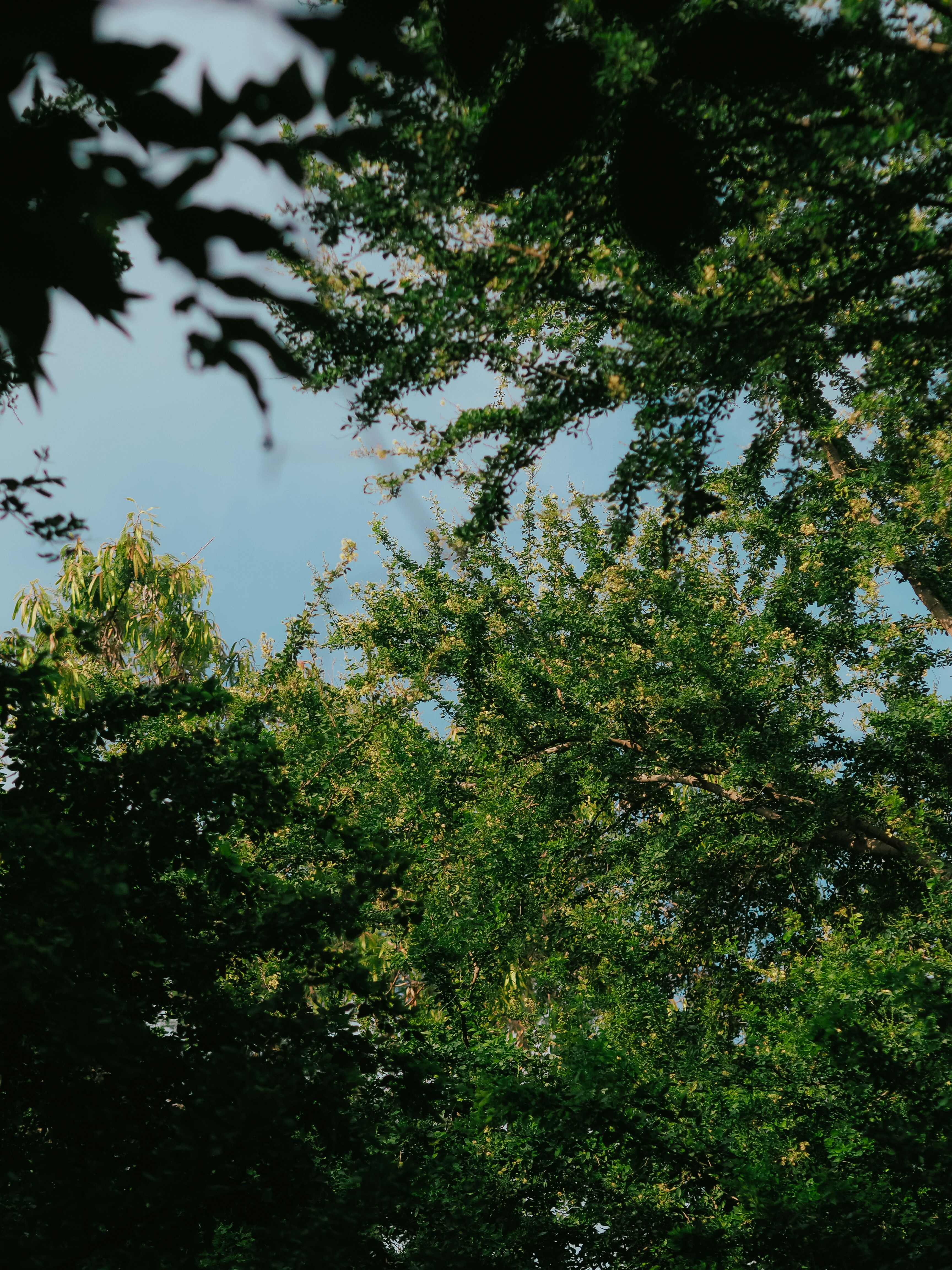 Photo by saraang_xinjalee