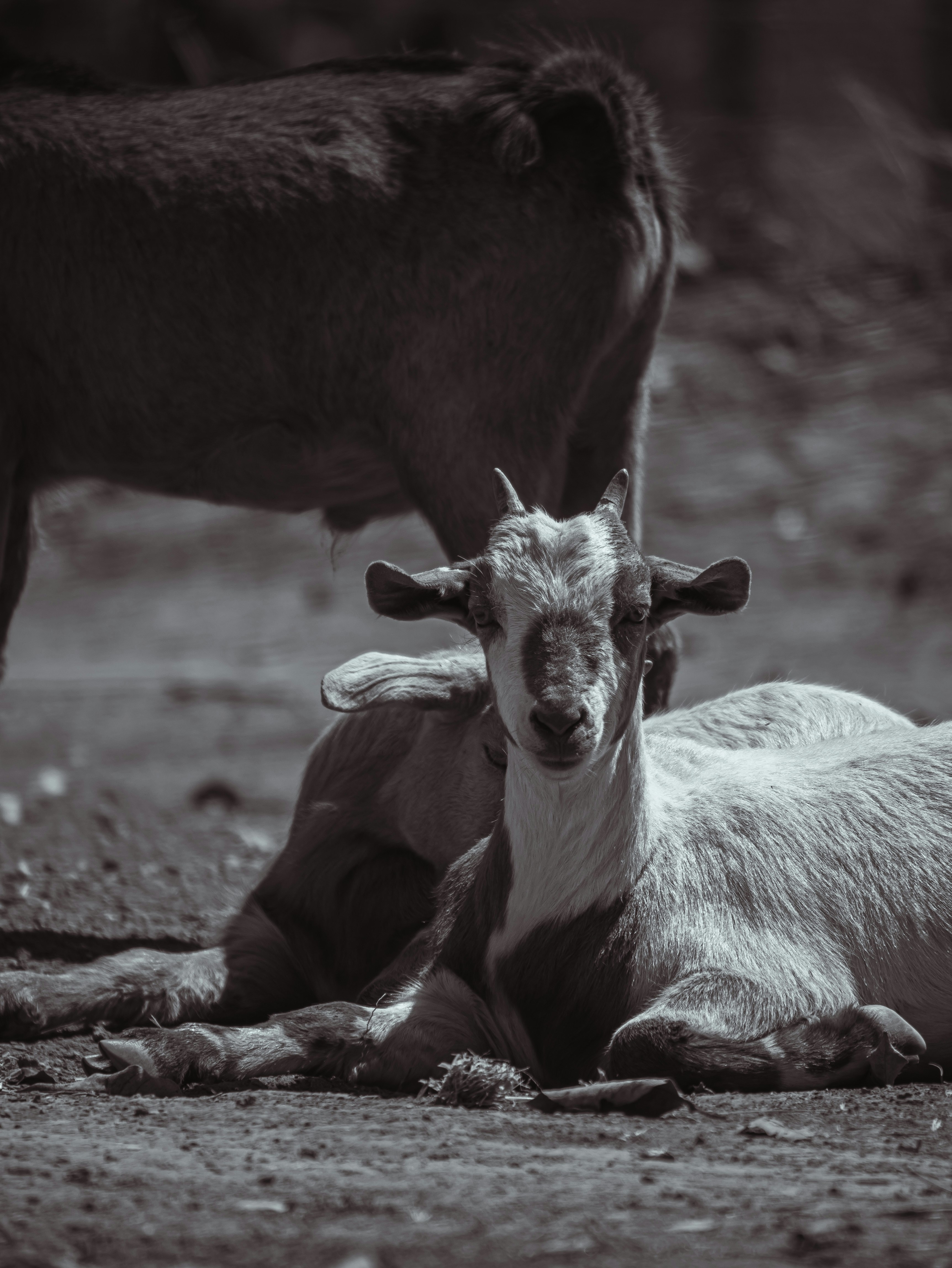 Photo by ragnampiza