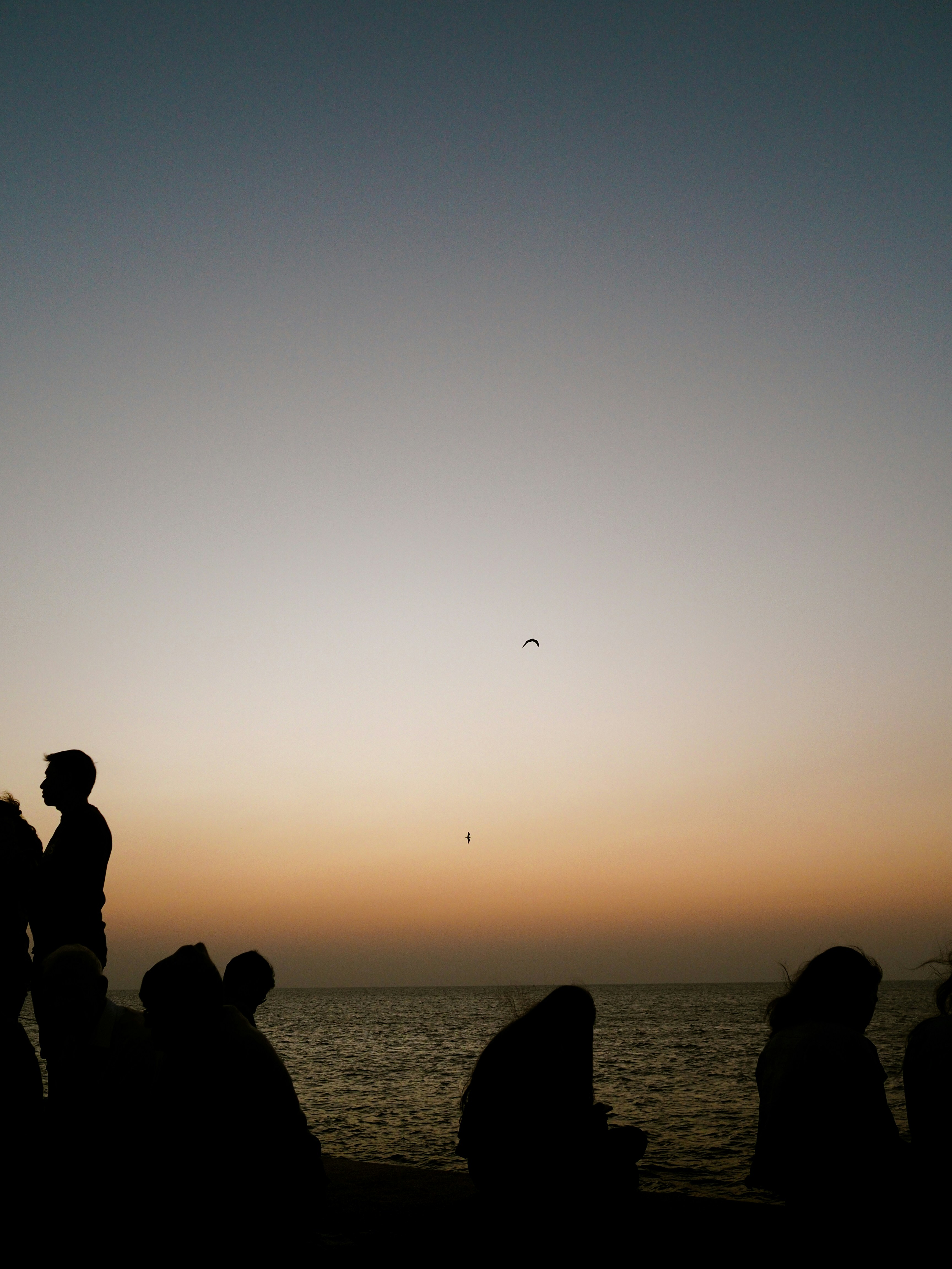 Photo by saraang_xinjalee