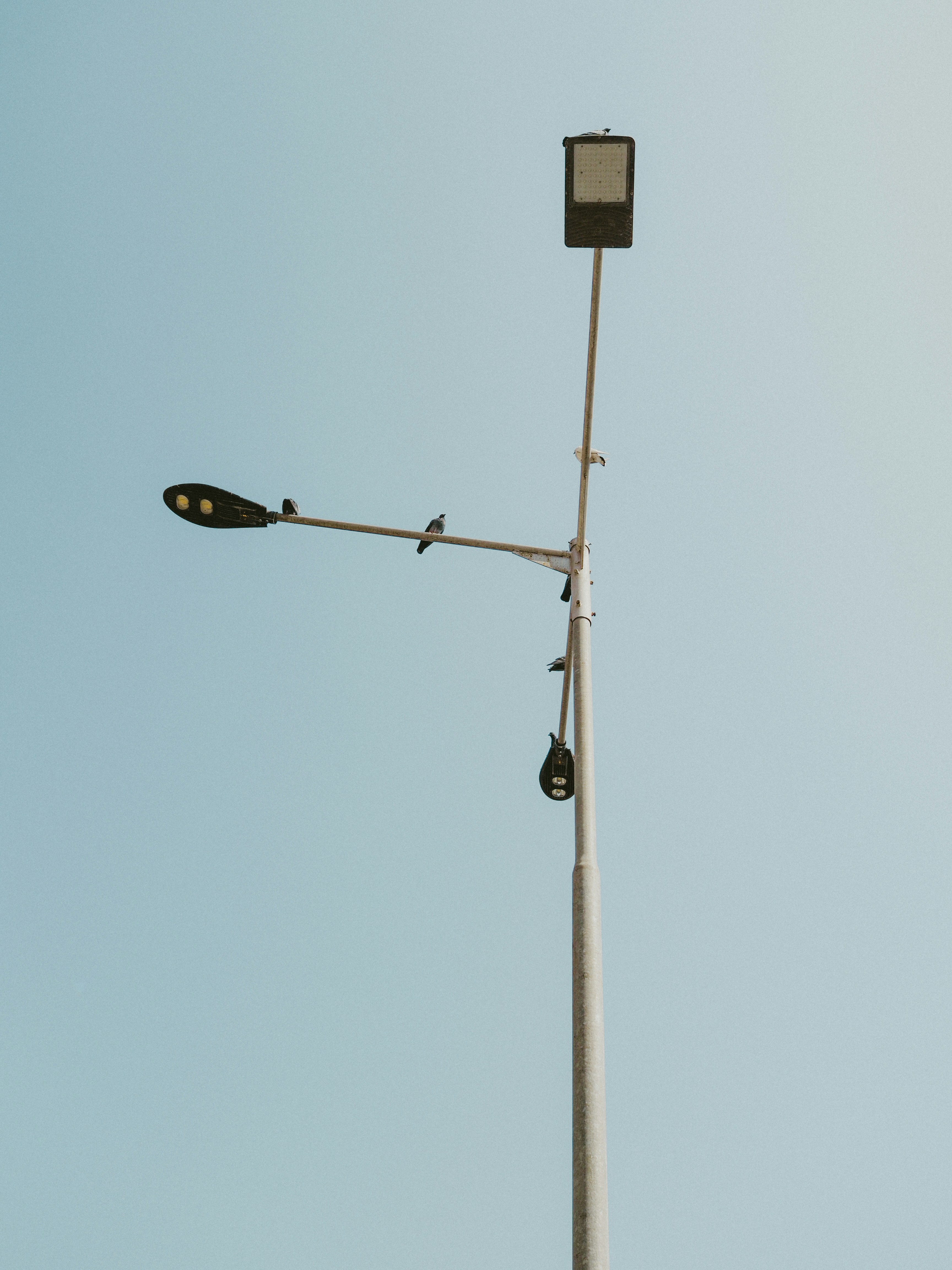 Photo by saraang_xinjalee