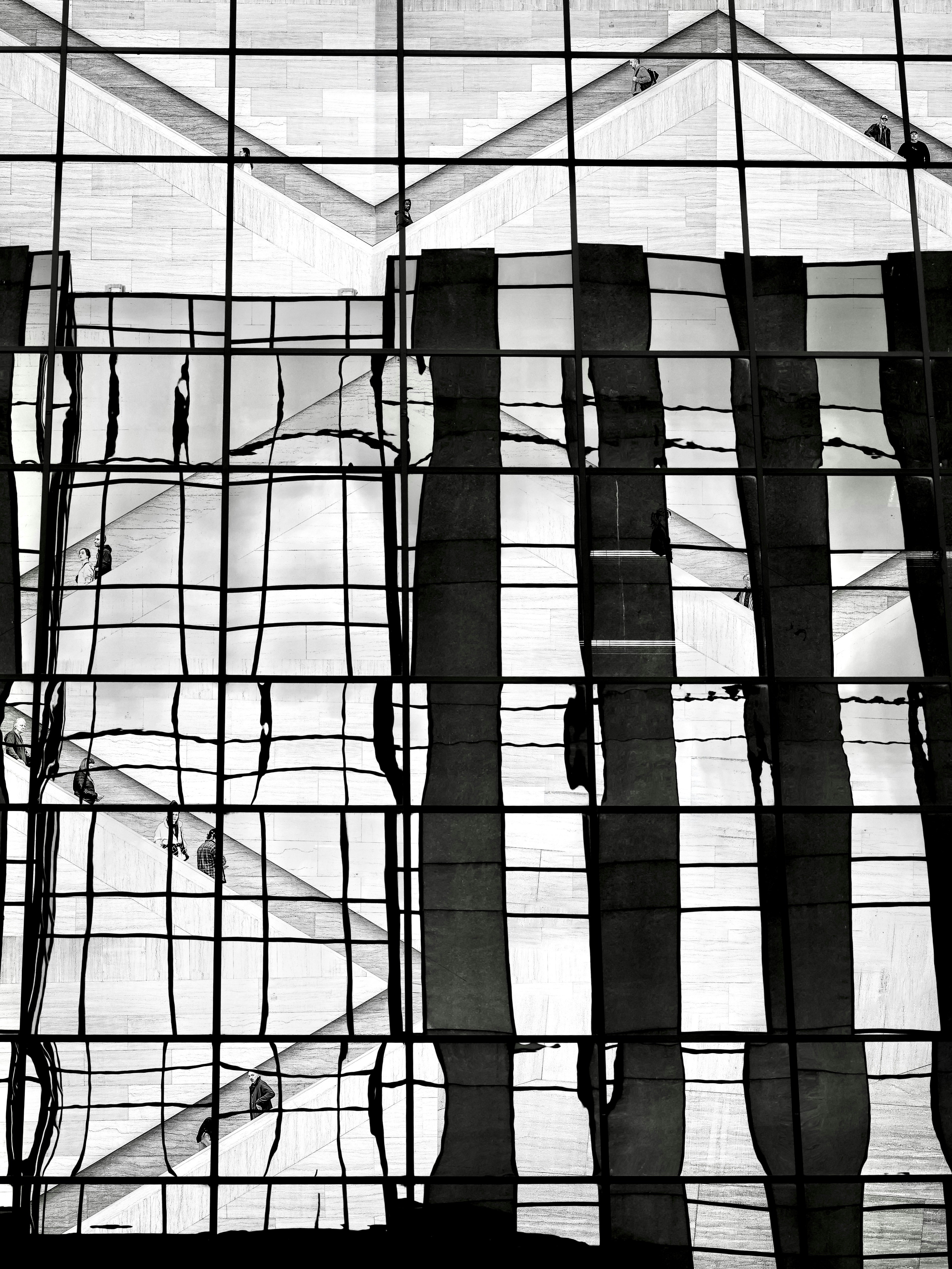 Photo by sschusterphotoart