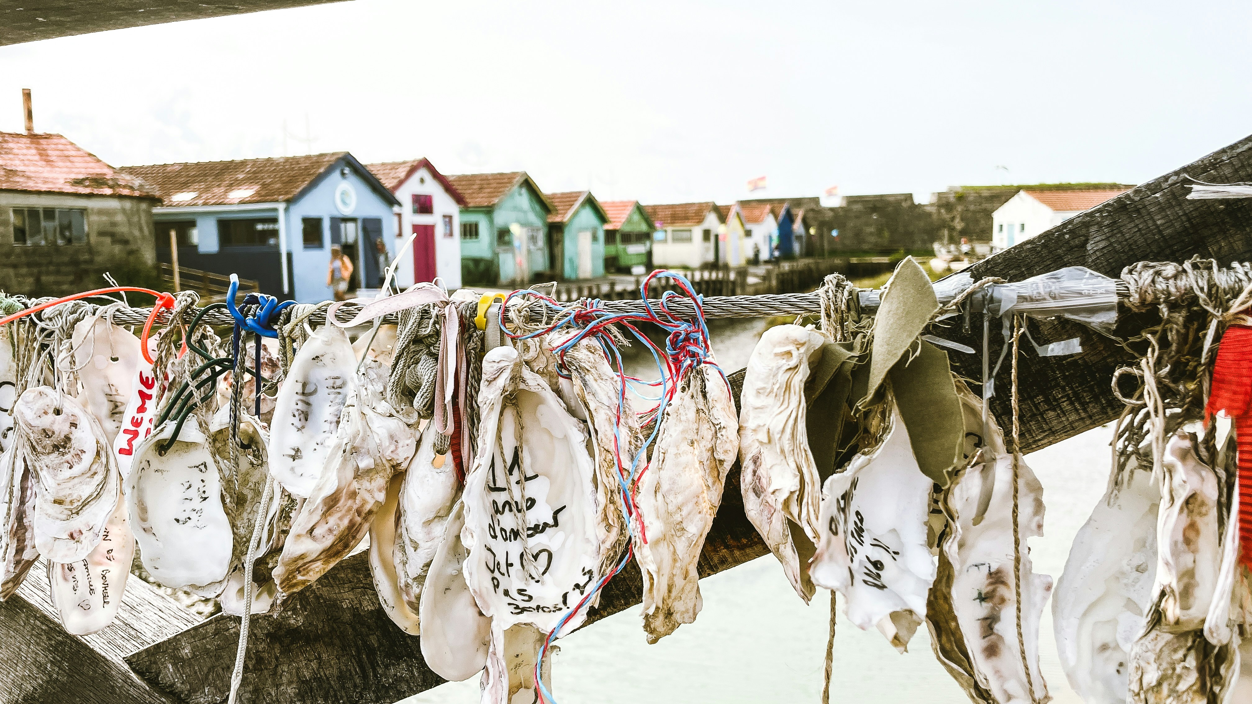 Traditional oyster farming village