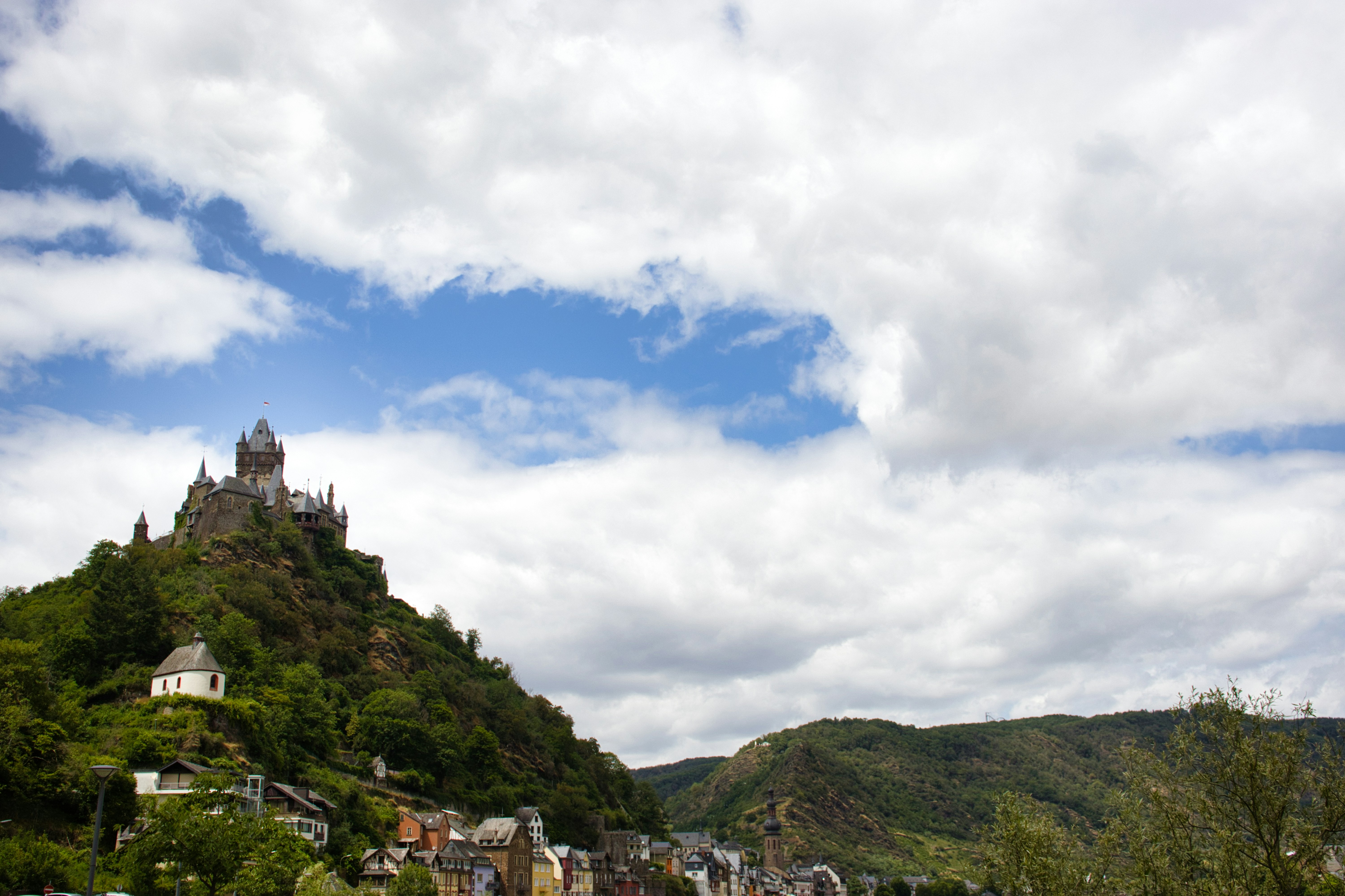 Photo by paws_and_prints