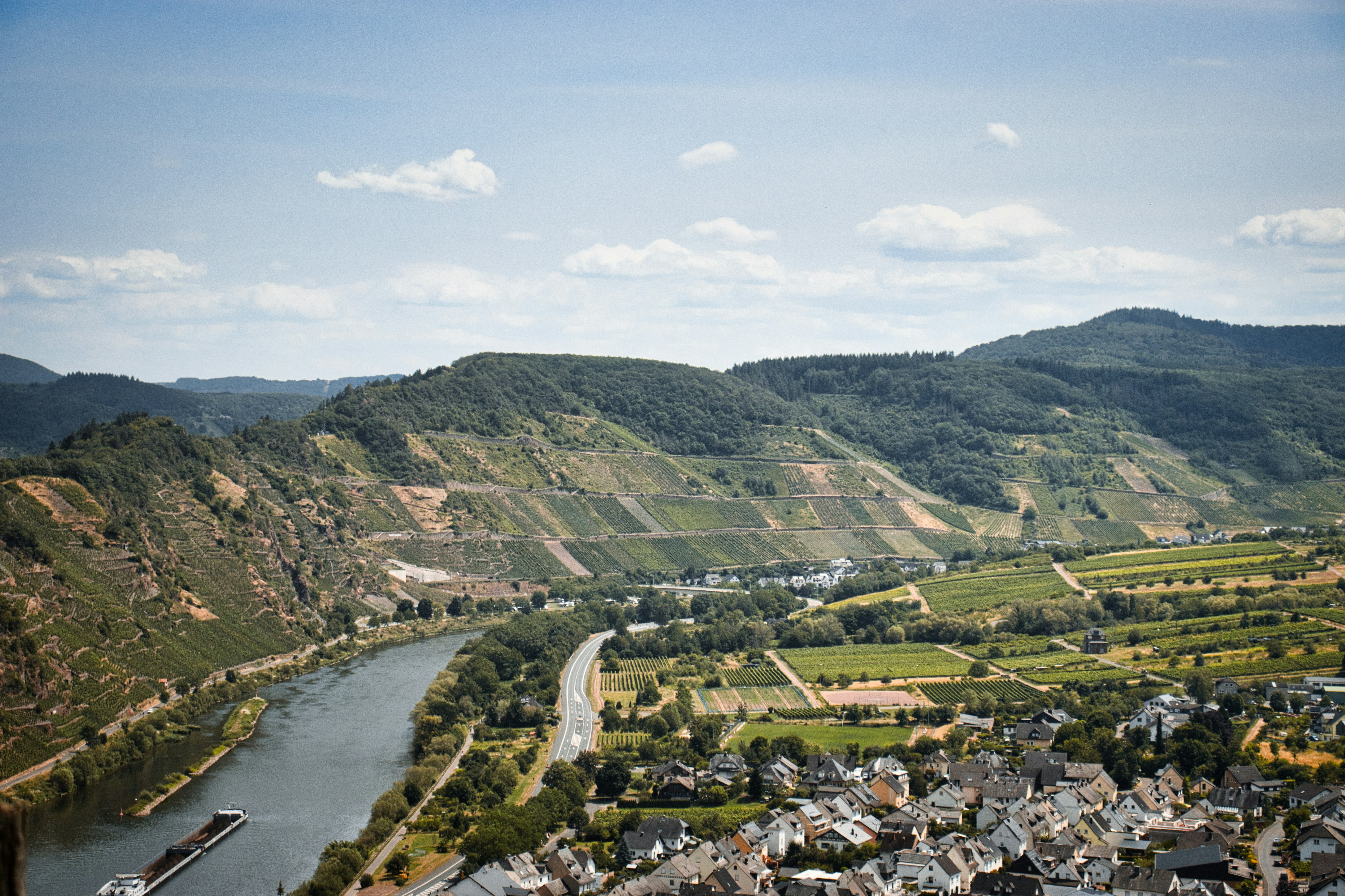 Photo by paws_and_prints