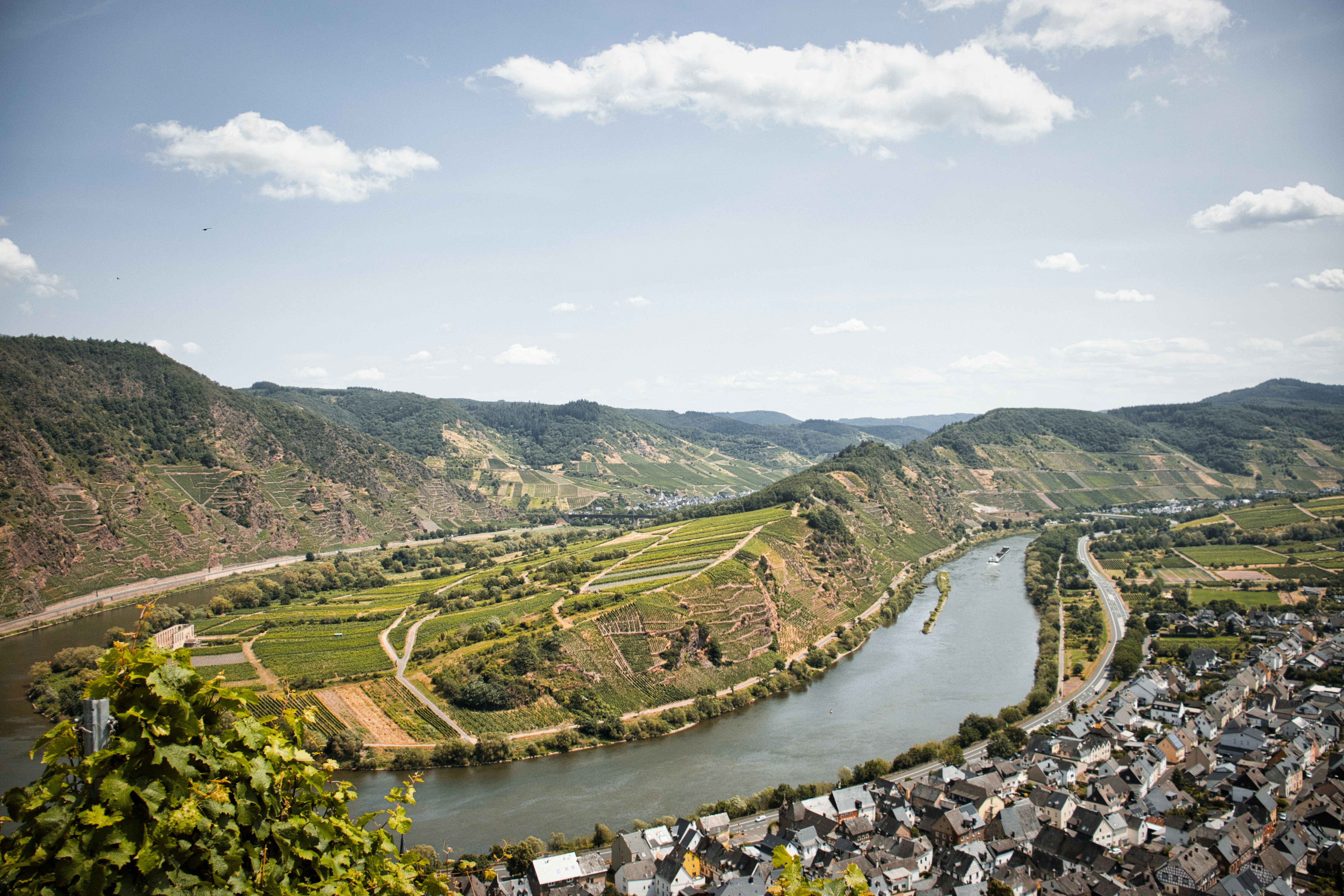 Photo by paws_and_prints