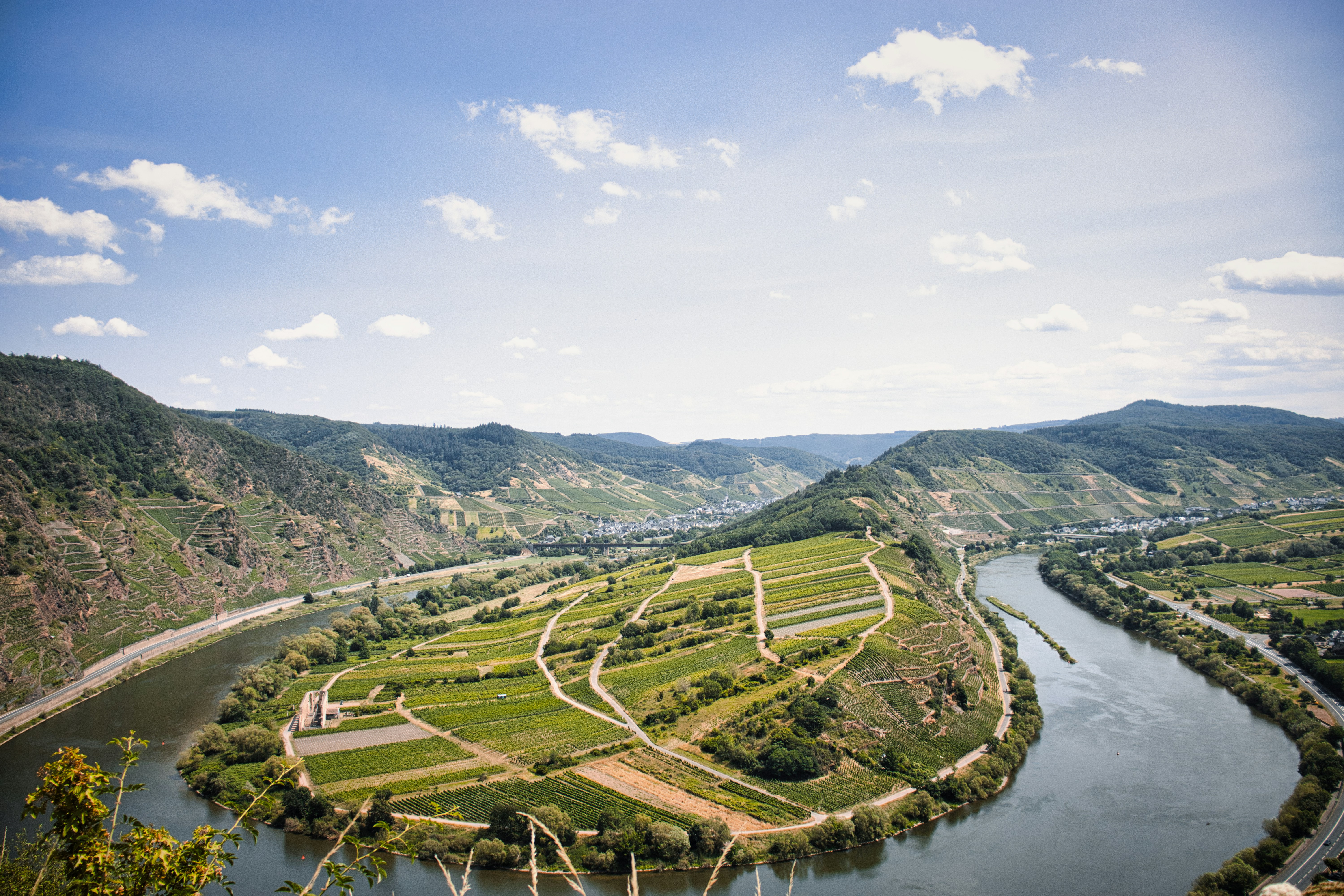 Photo by paws_and_prints