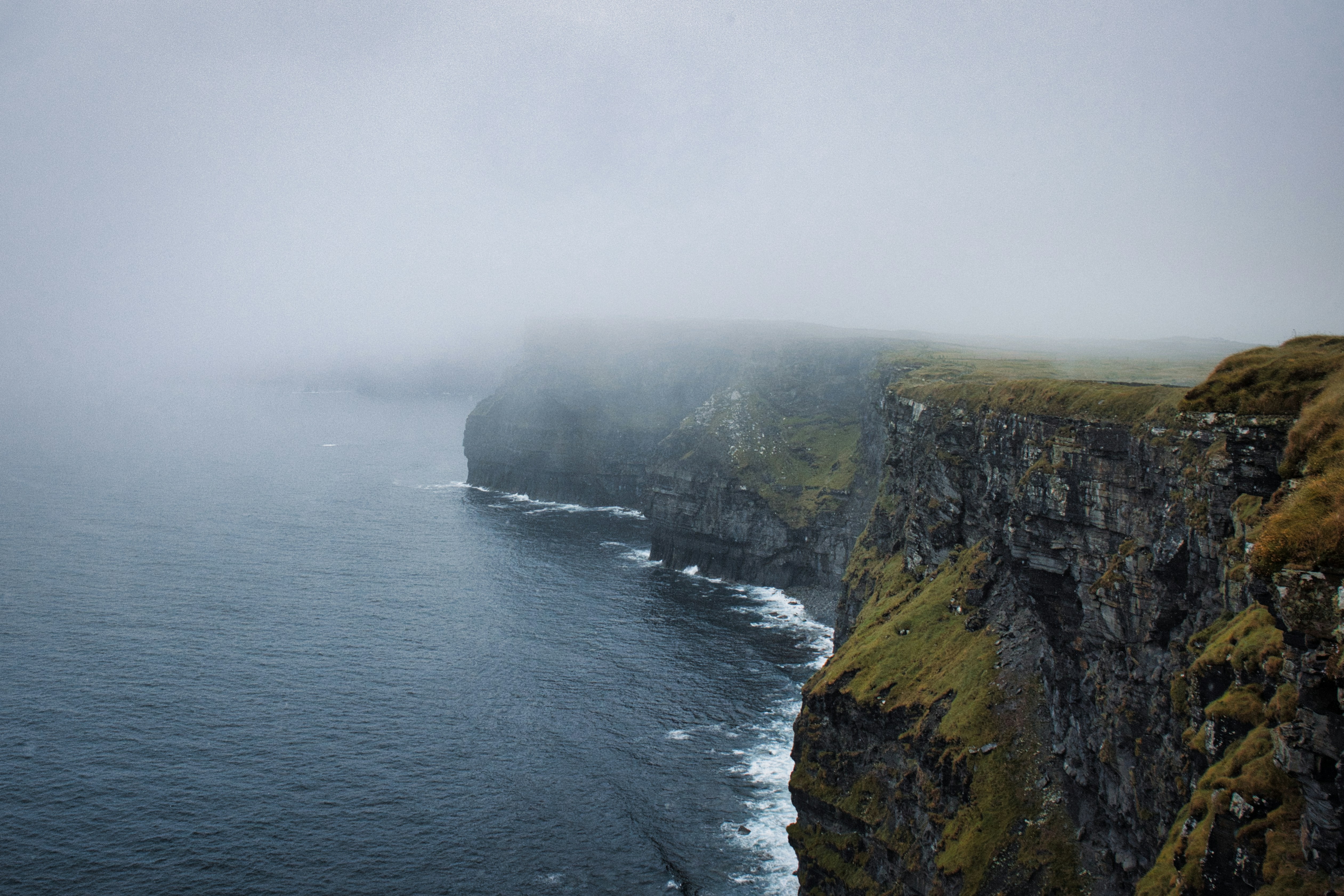 Photo by paws_and_prints