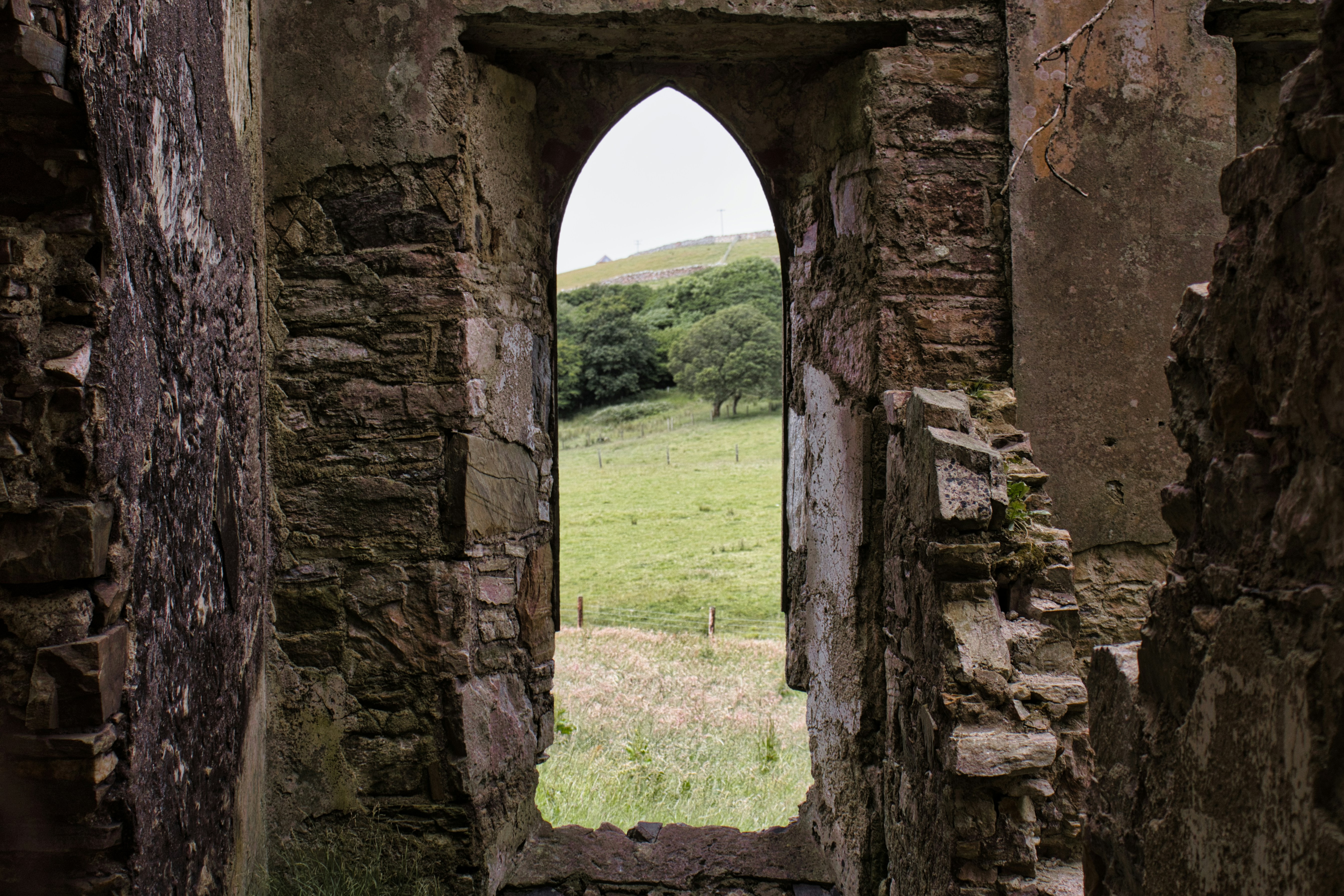 Photo by paws_and_prints