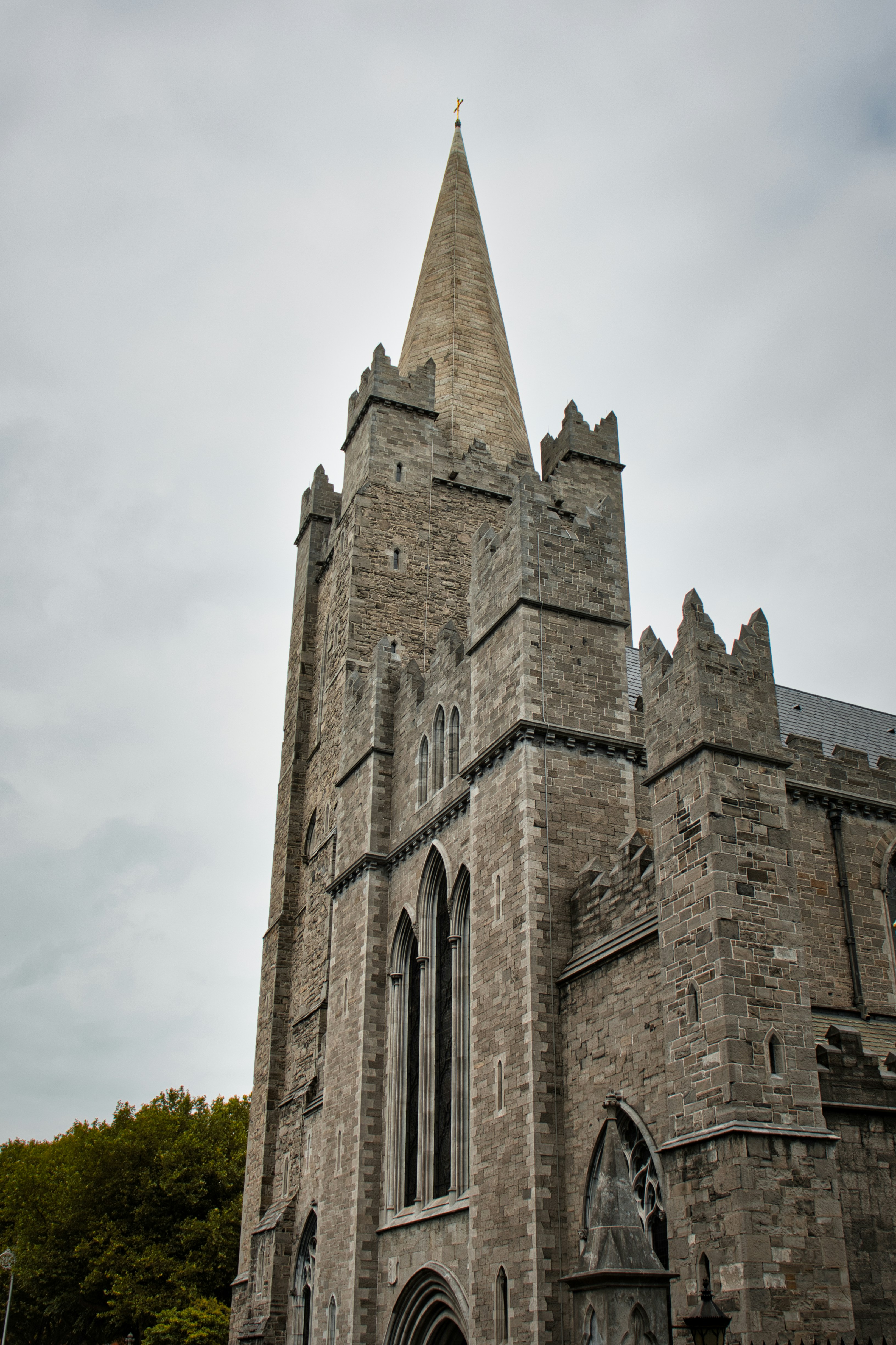 Photo by paws_and_prints