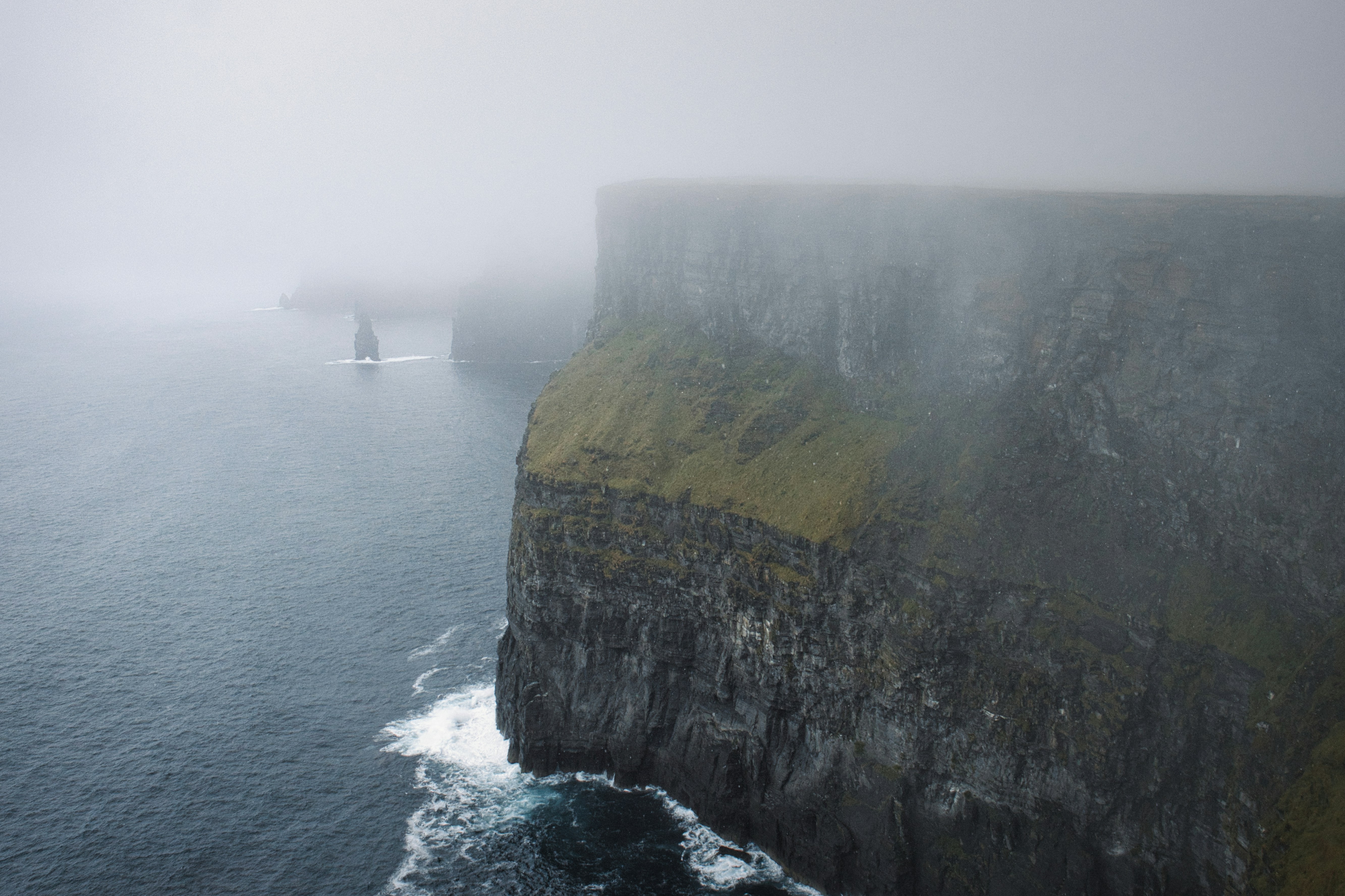 Photo by paws_and_prints