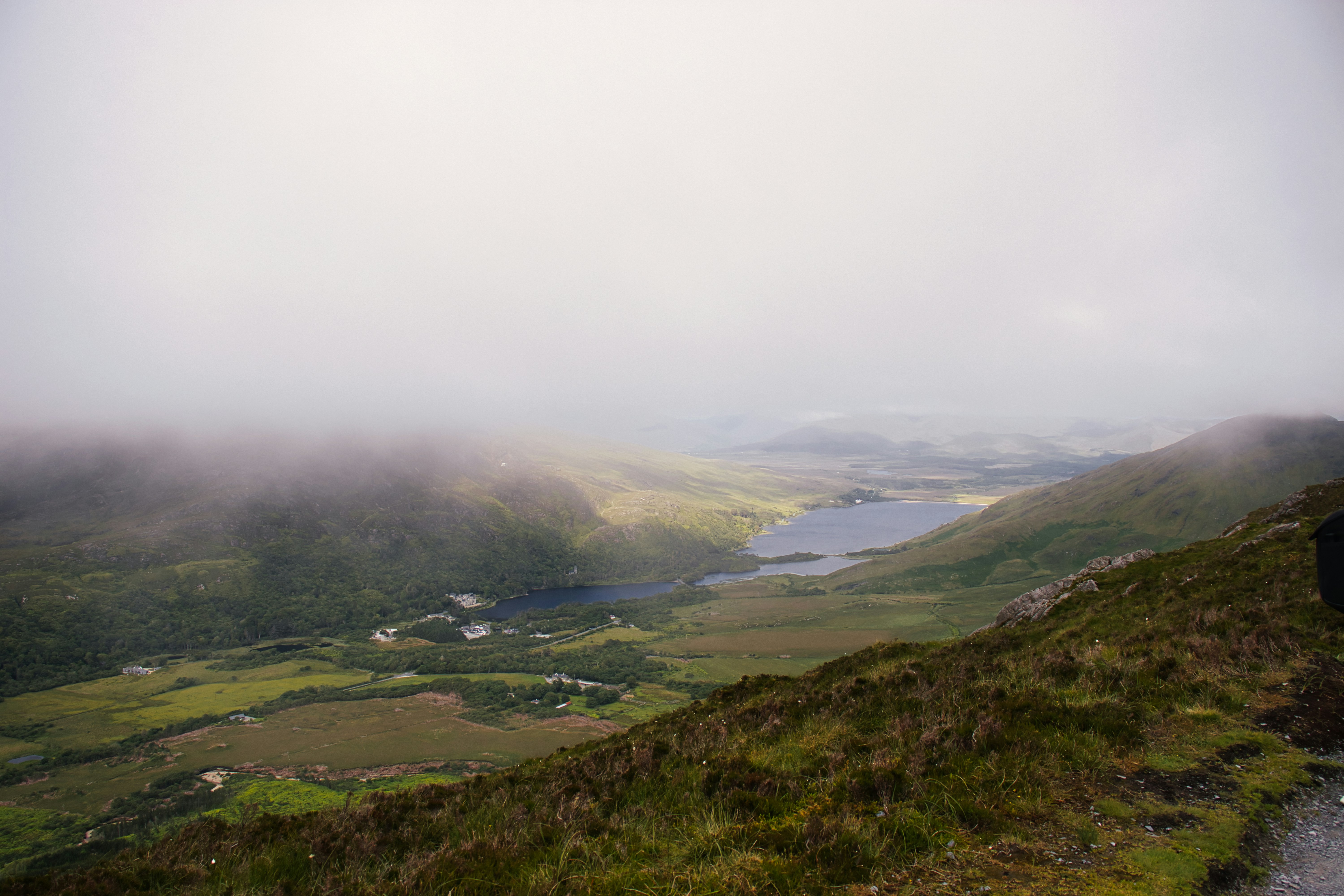 Photo by paws_and_prints