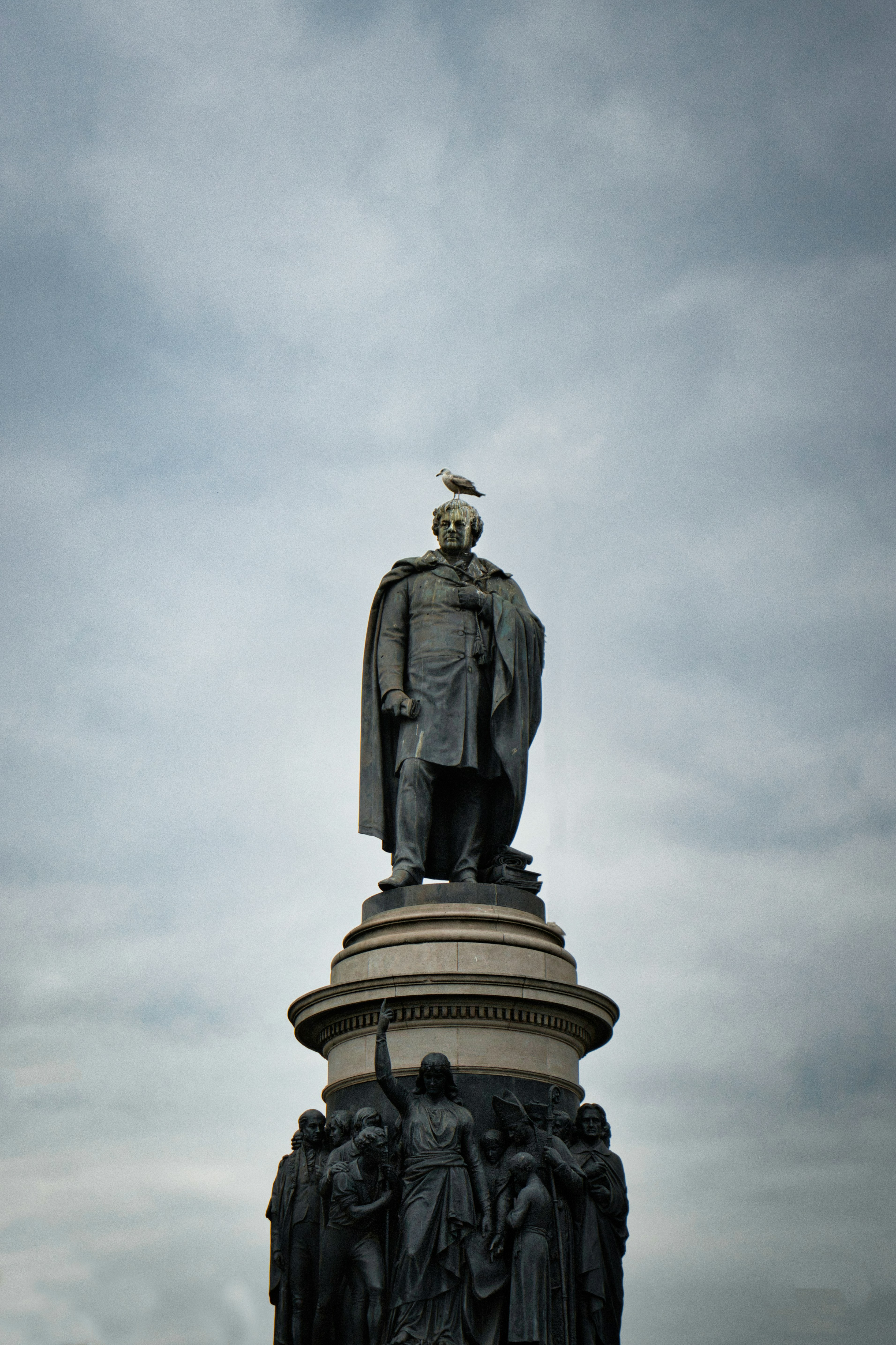 Photo by paws_and_prints