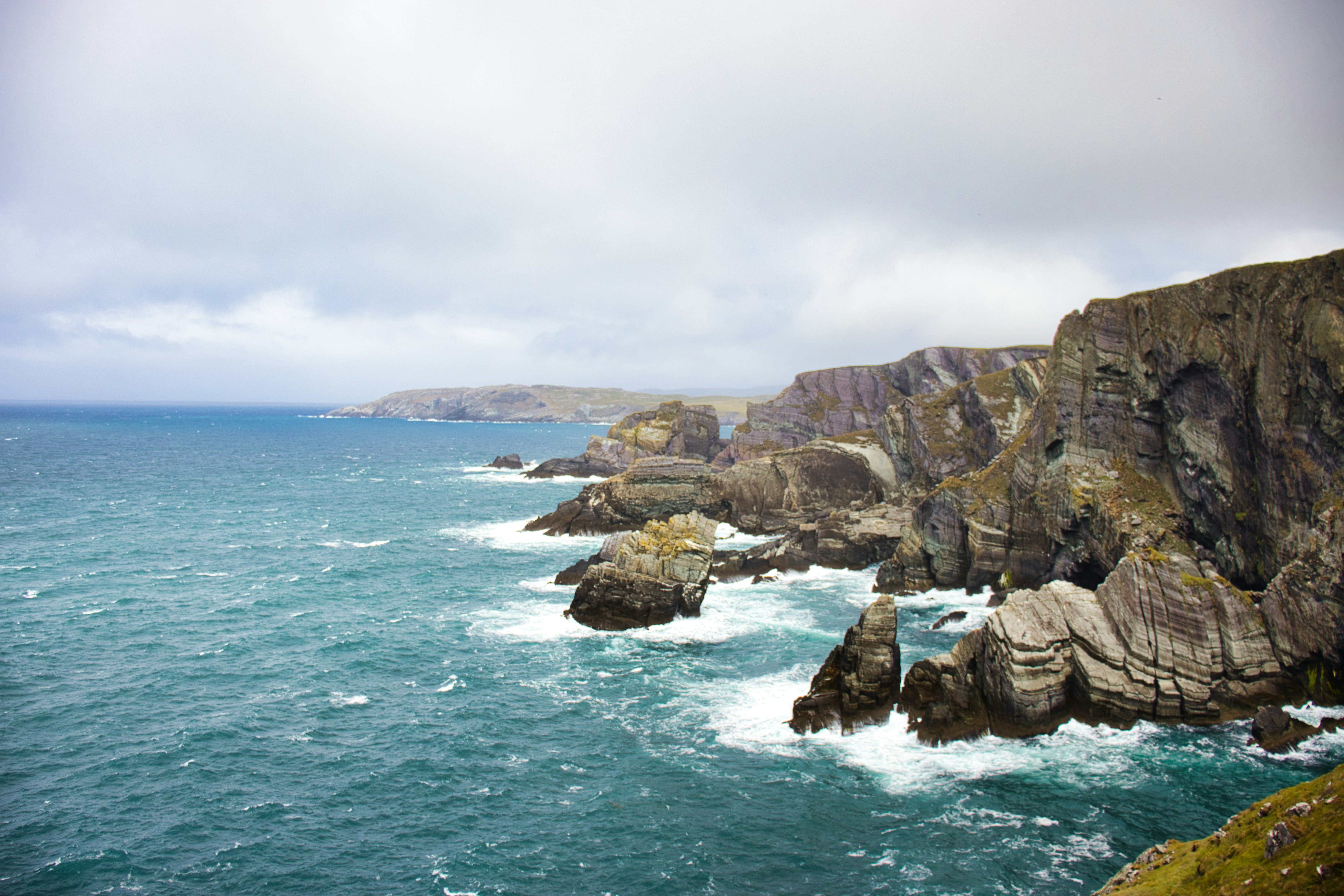 Photo by paws_and_prints