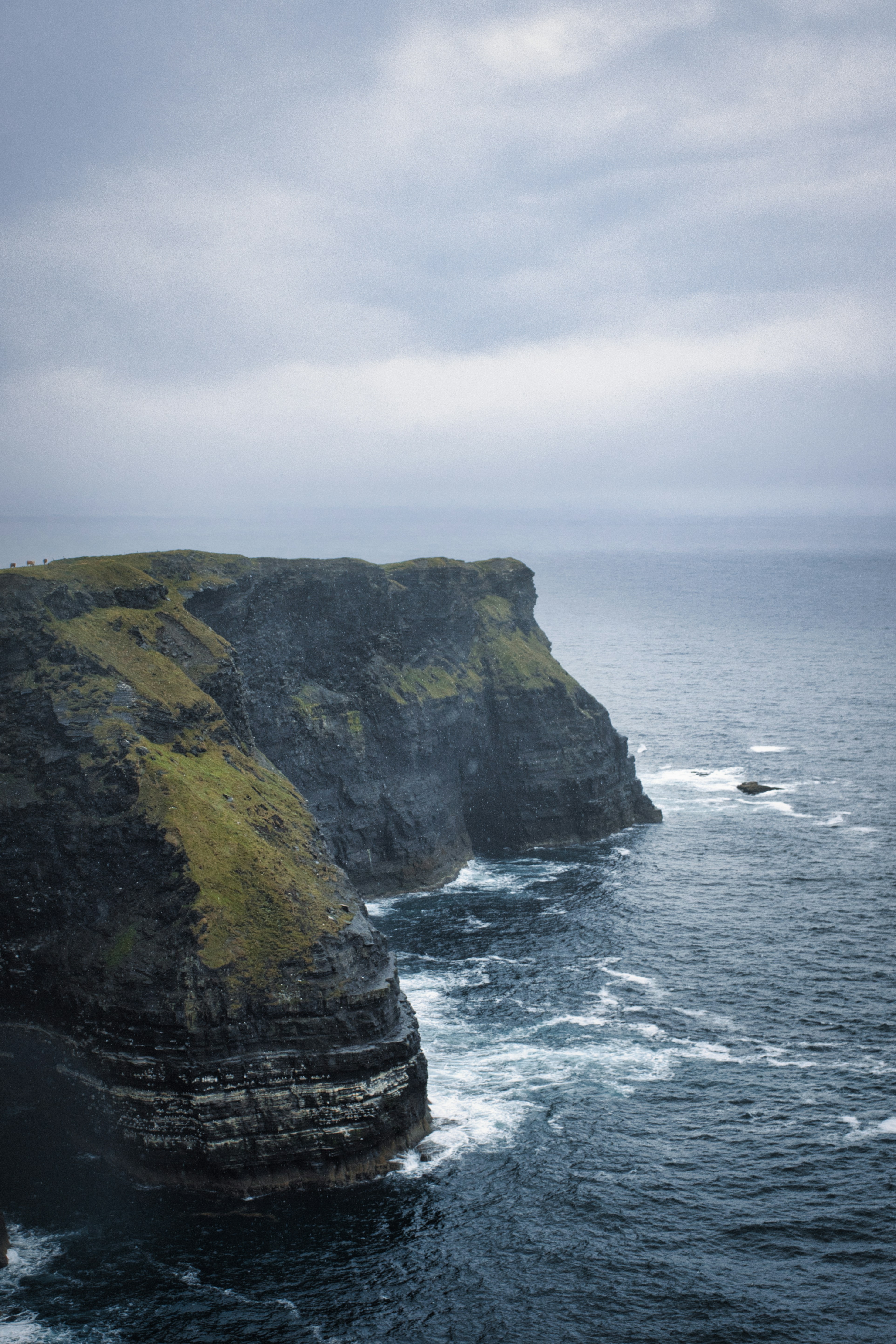 Photo by paws_and_prints