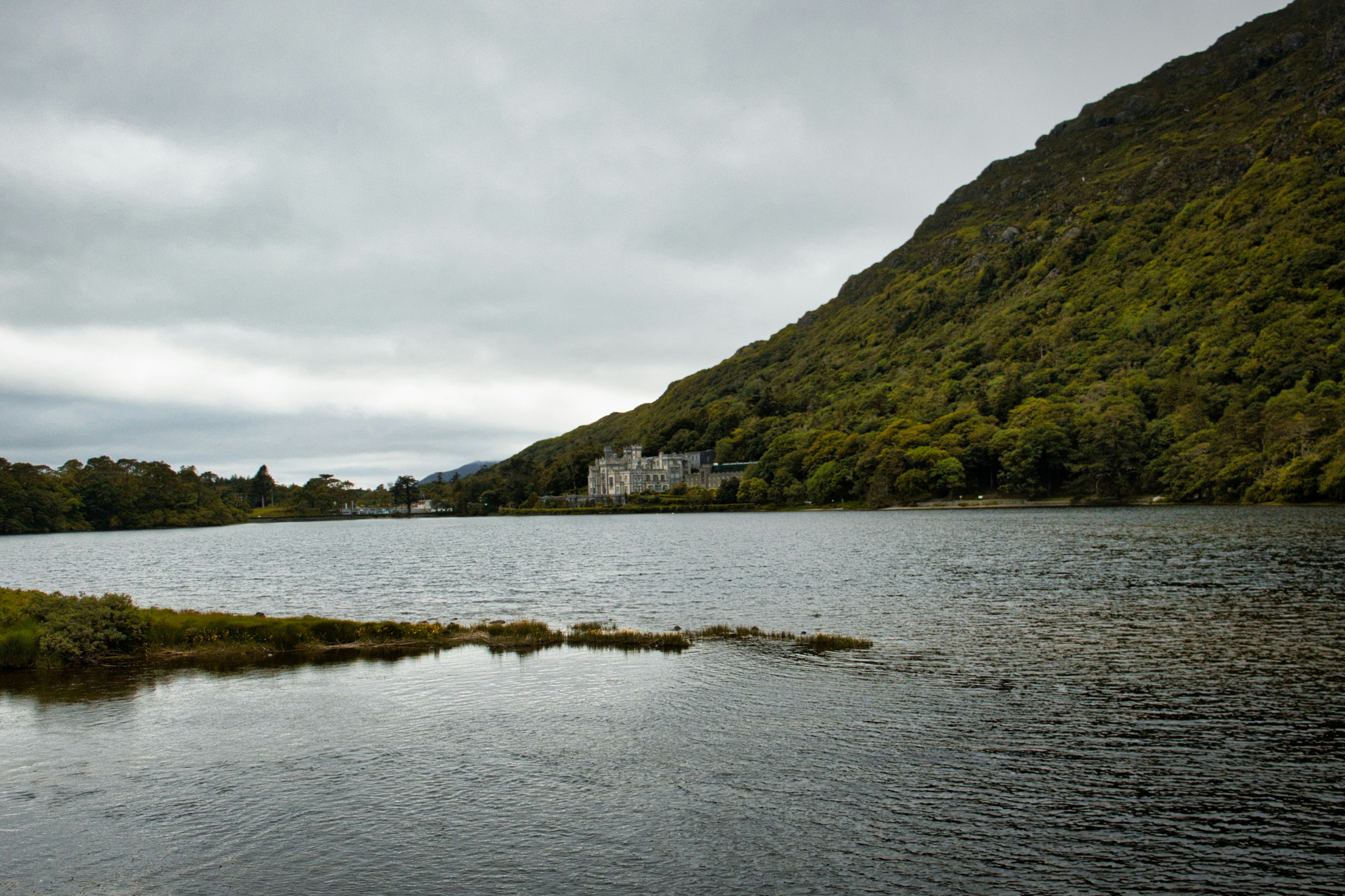 Photo by paws_and_prints