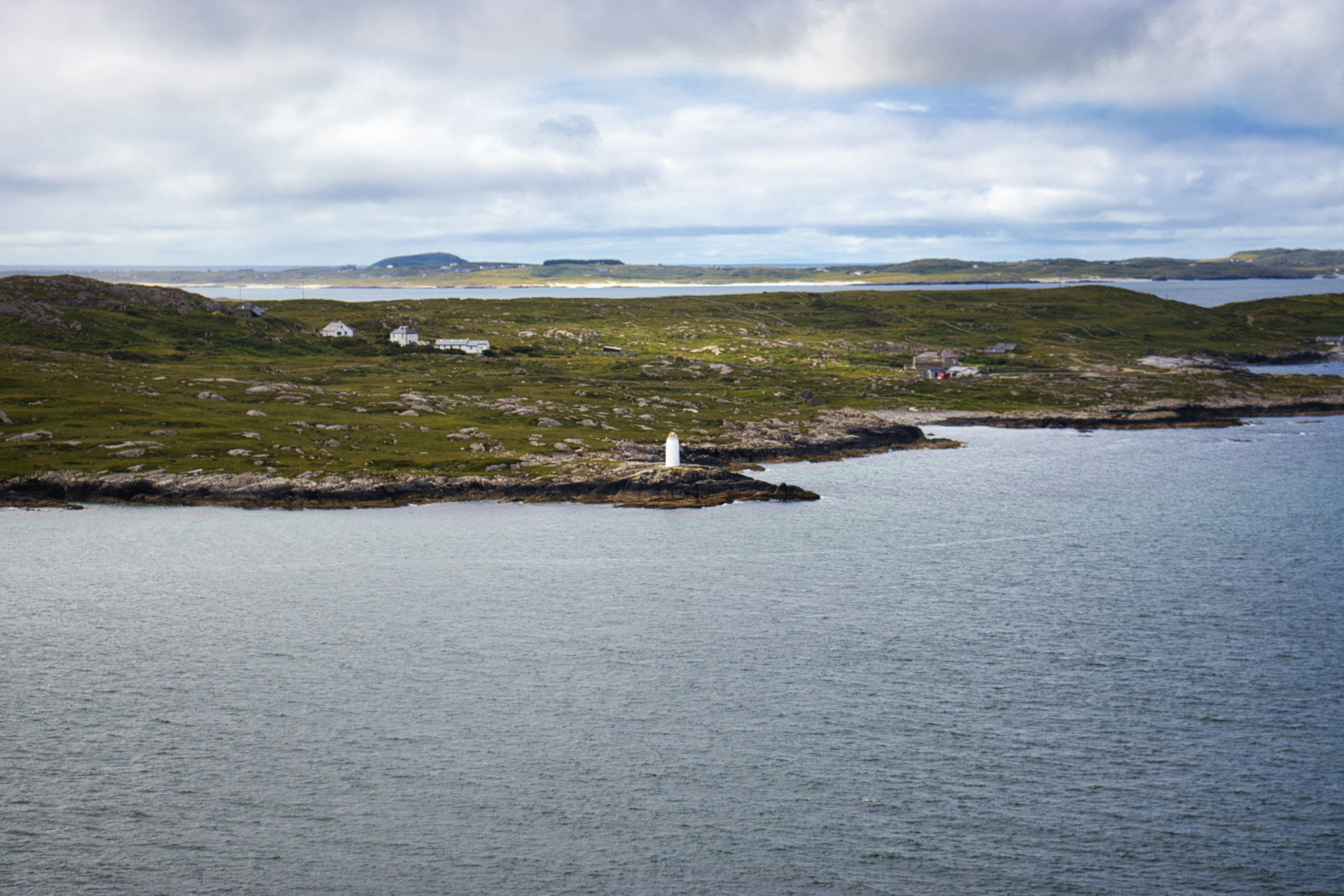 Photo by paws_and_prints