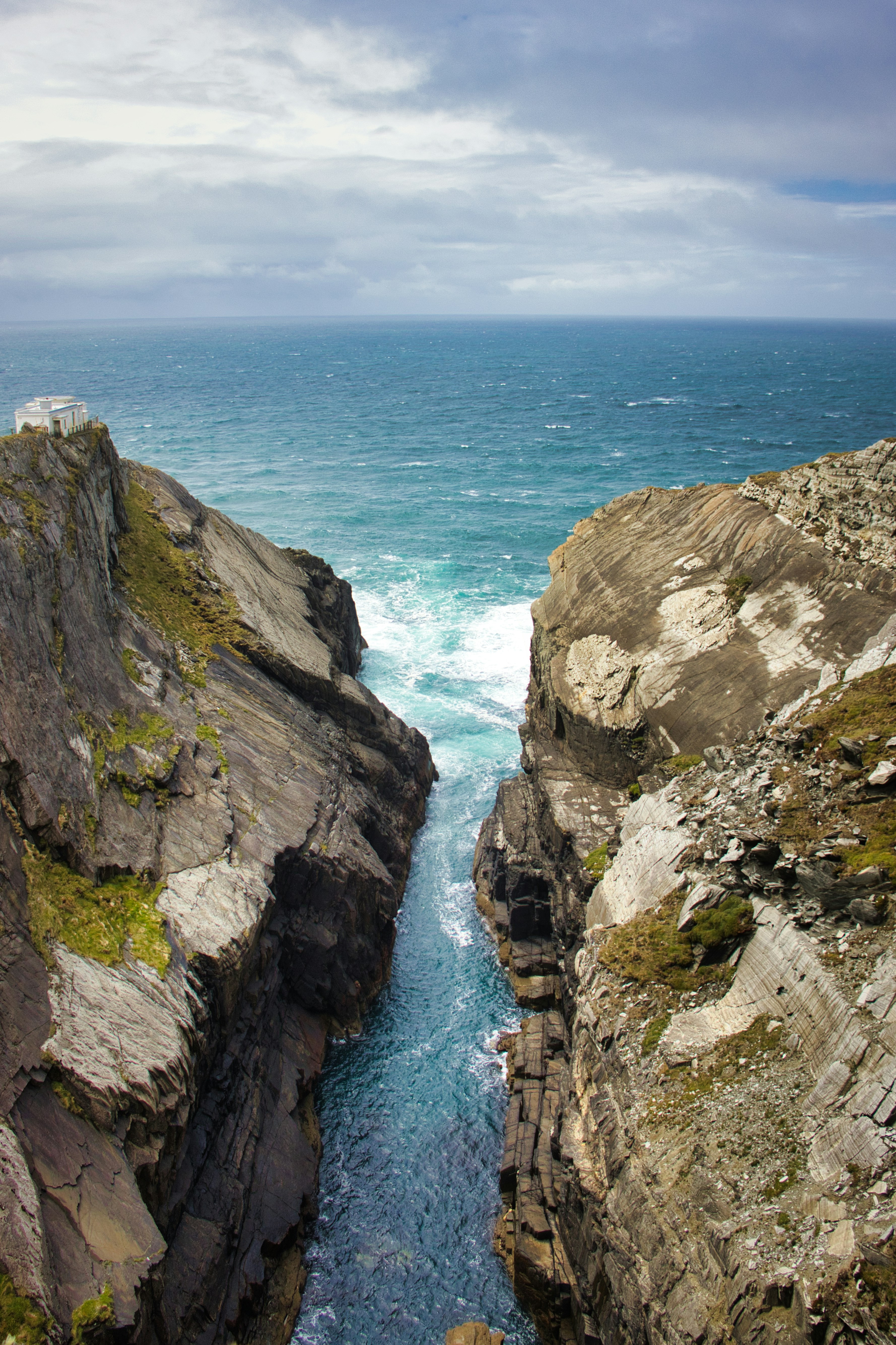 Photo by paws_and_prints