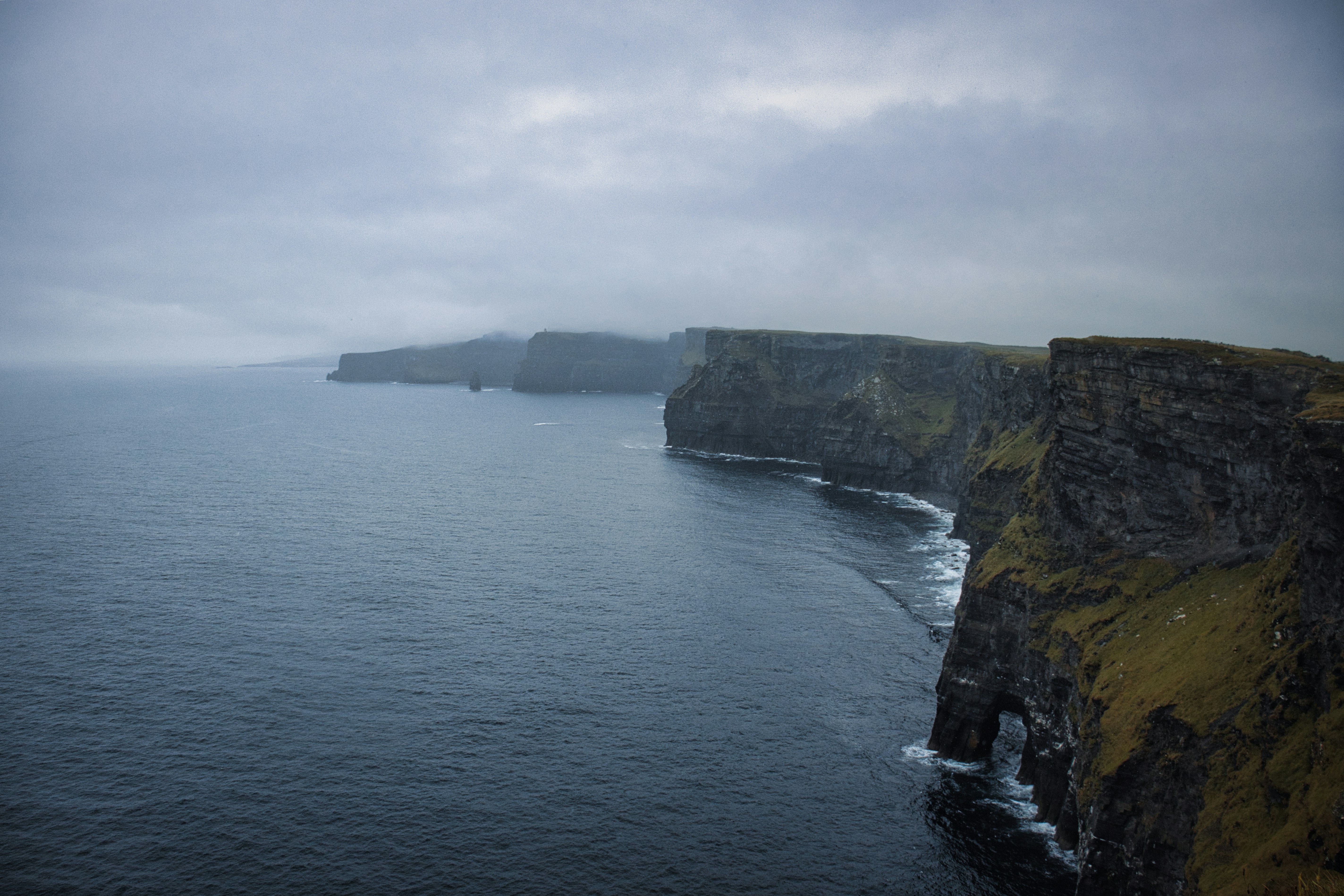 Photo by paws_and_prints