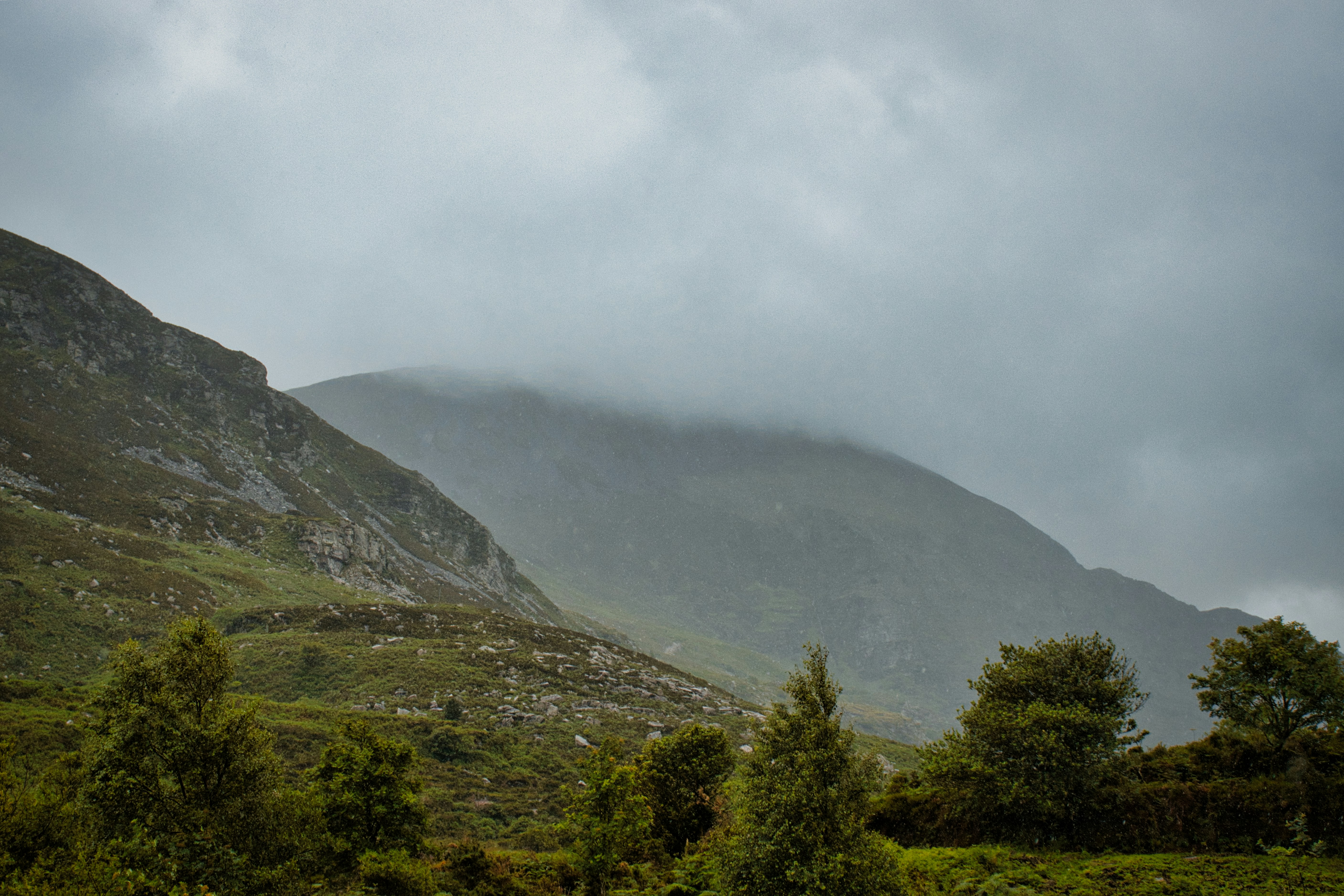 Photo by paws_and_prints