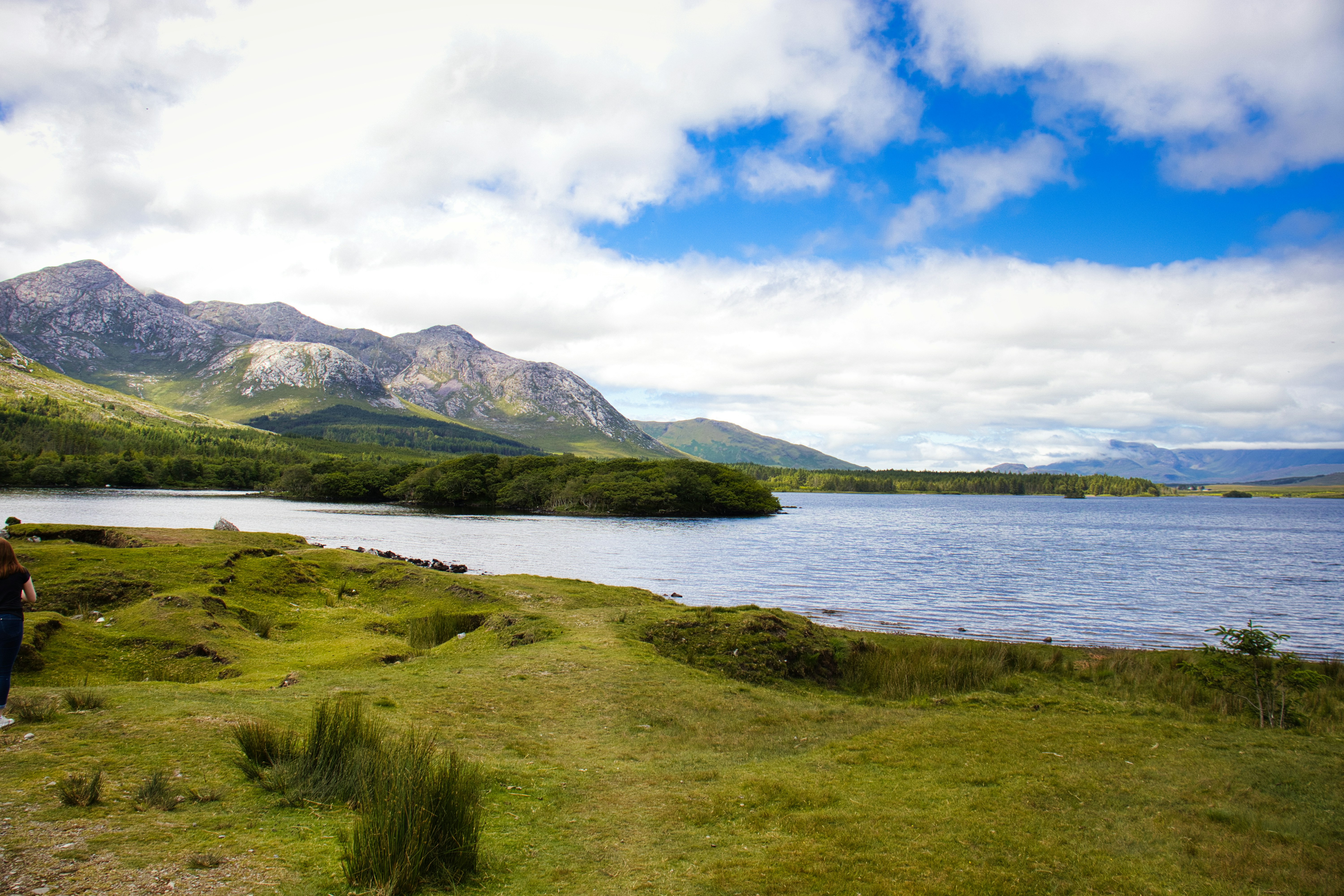 Photo by paws_and_prints