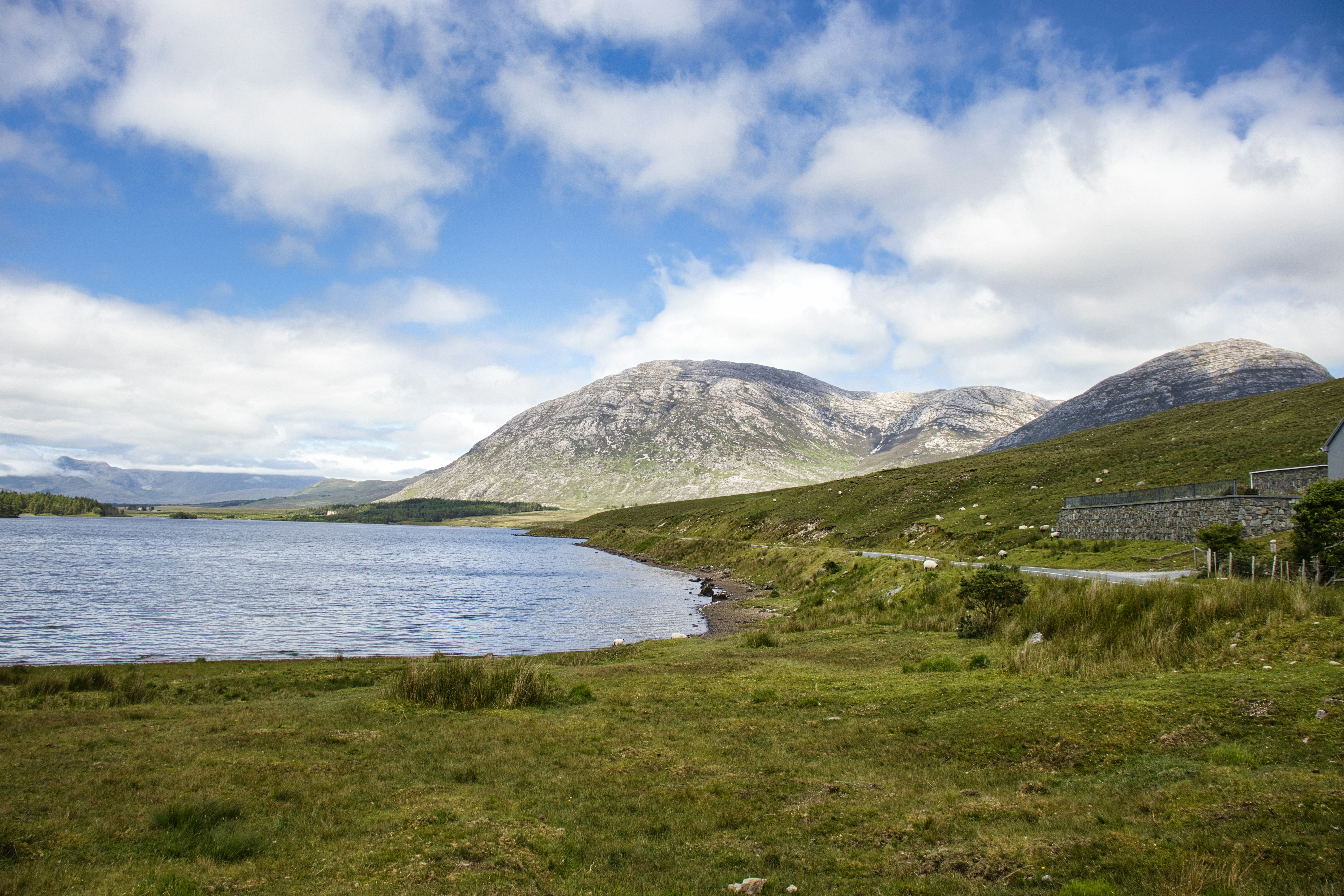 Photo by paws_and_prints