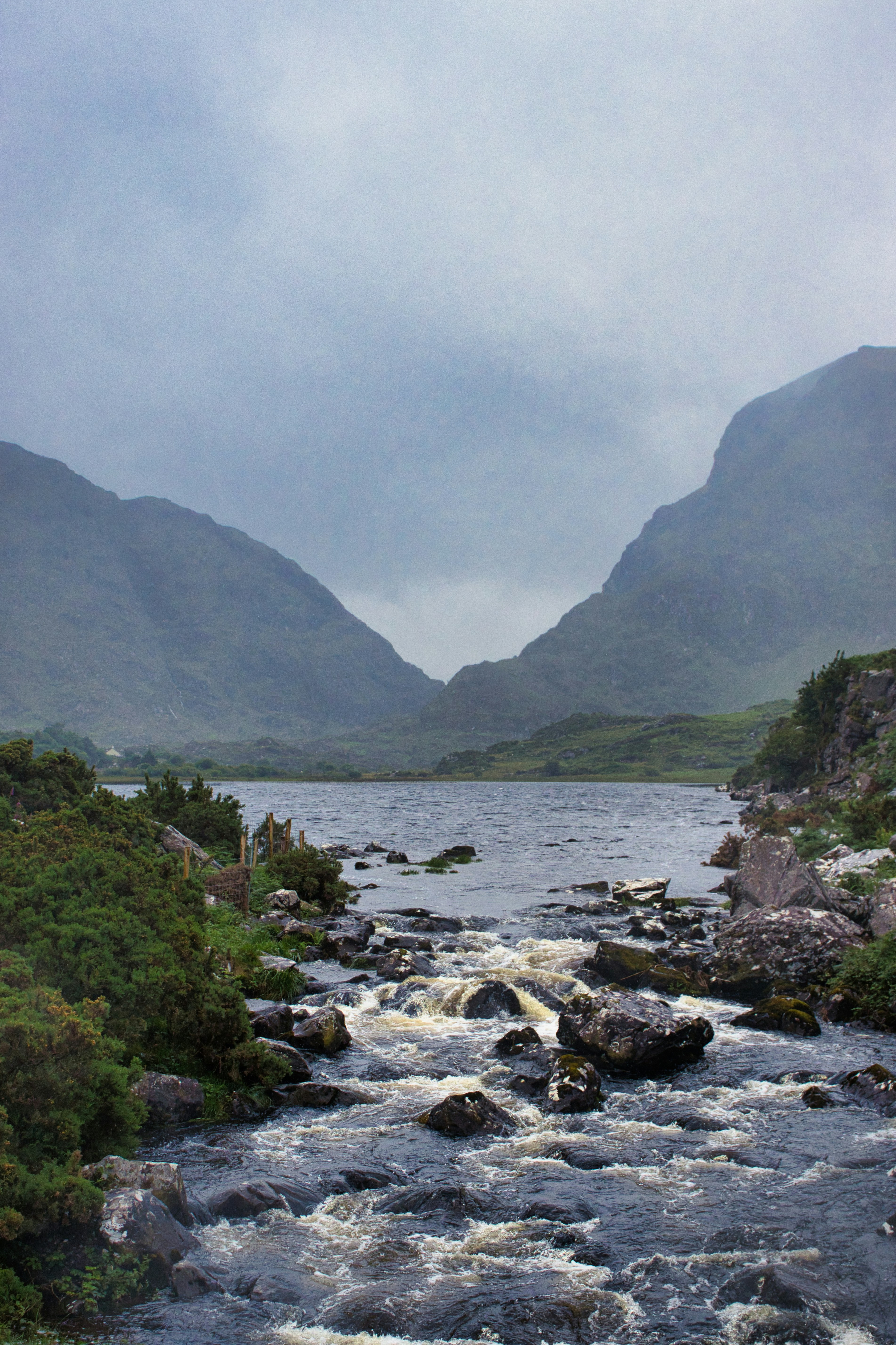 Photo by paws_and_prints