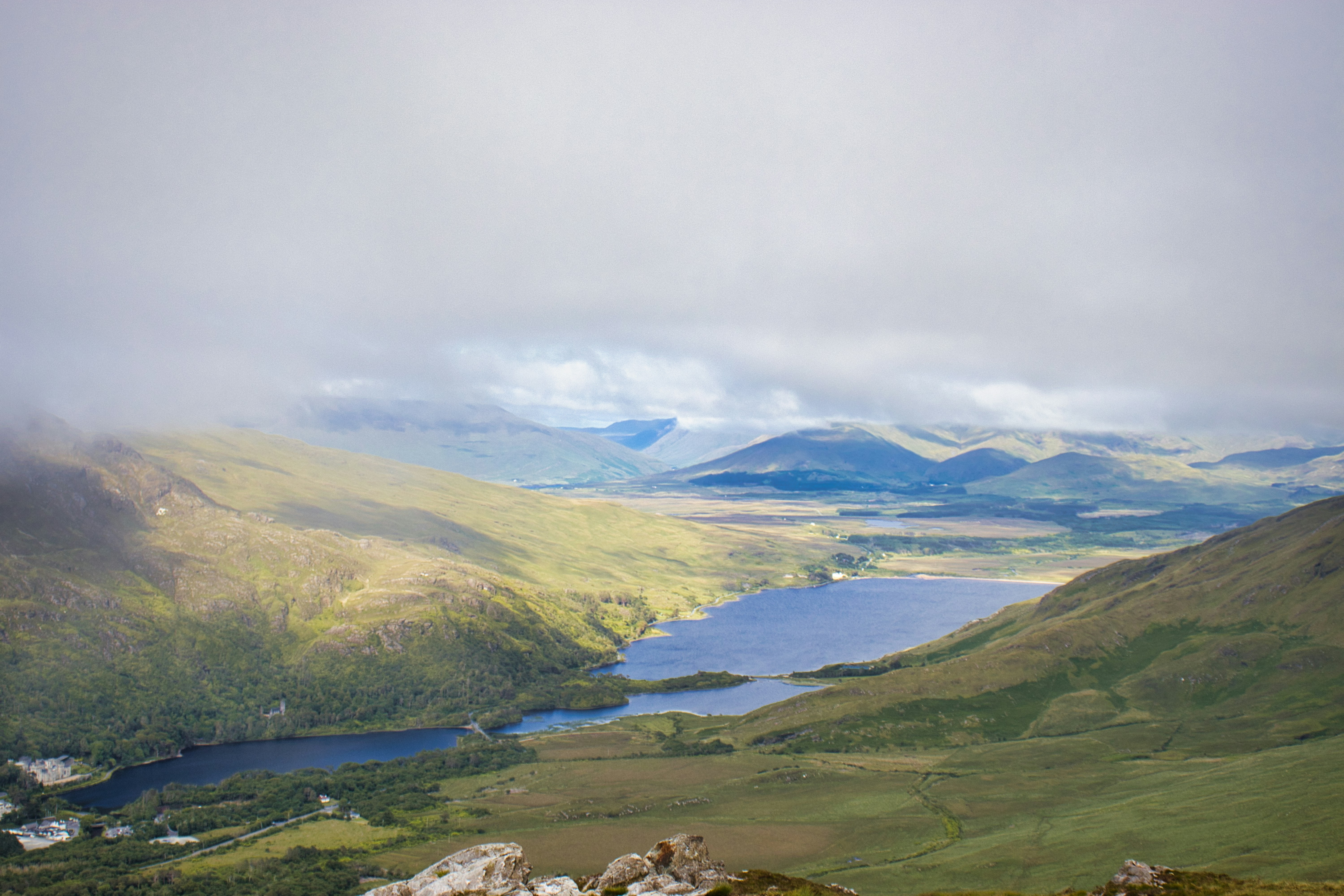 Photo by paws_and_prints