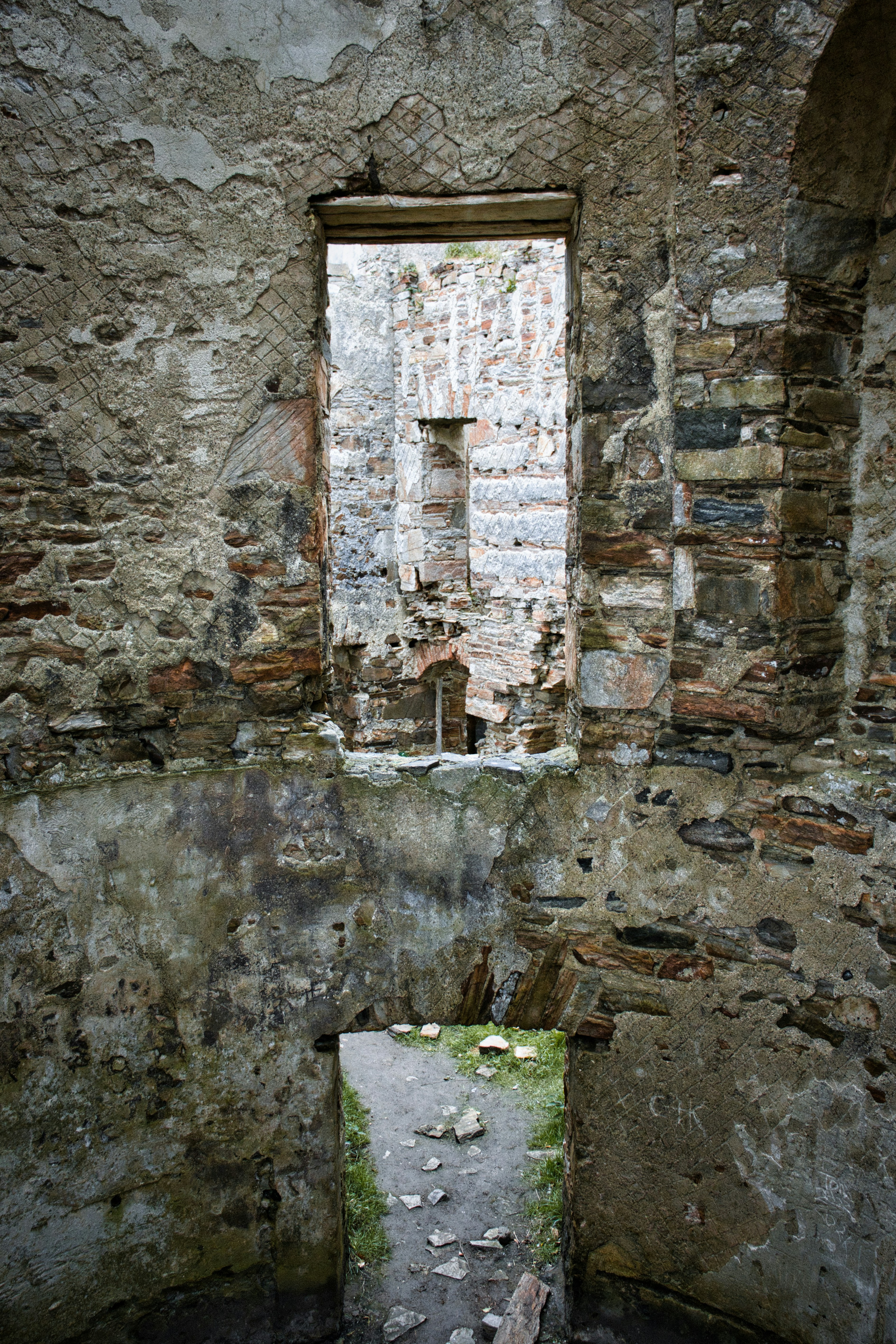 Photo by paws_and_prints