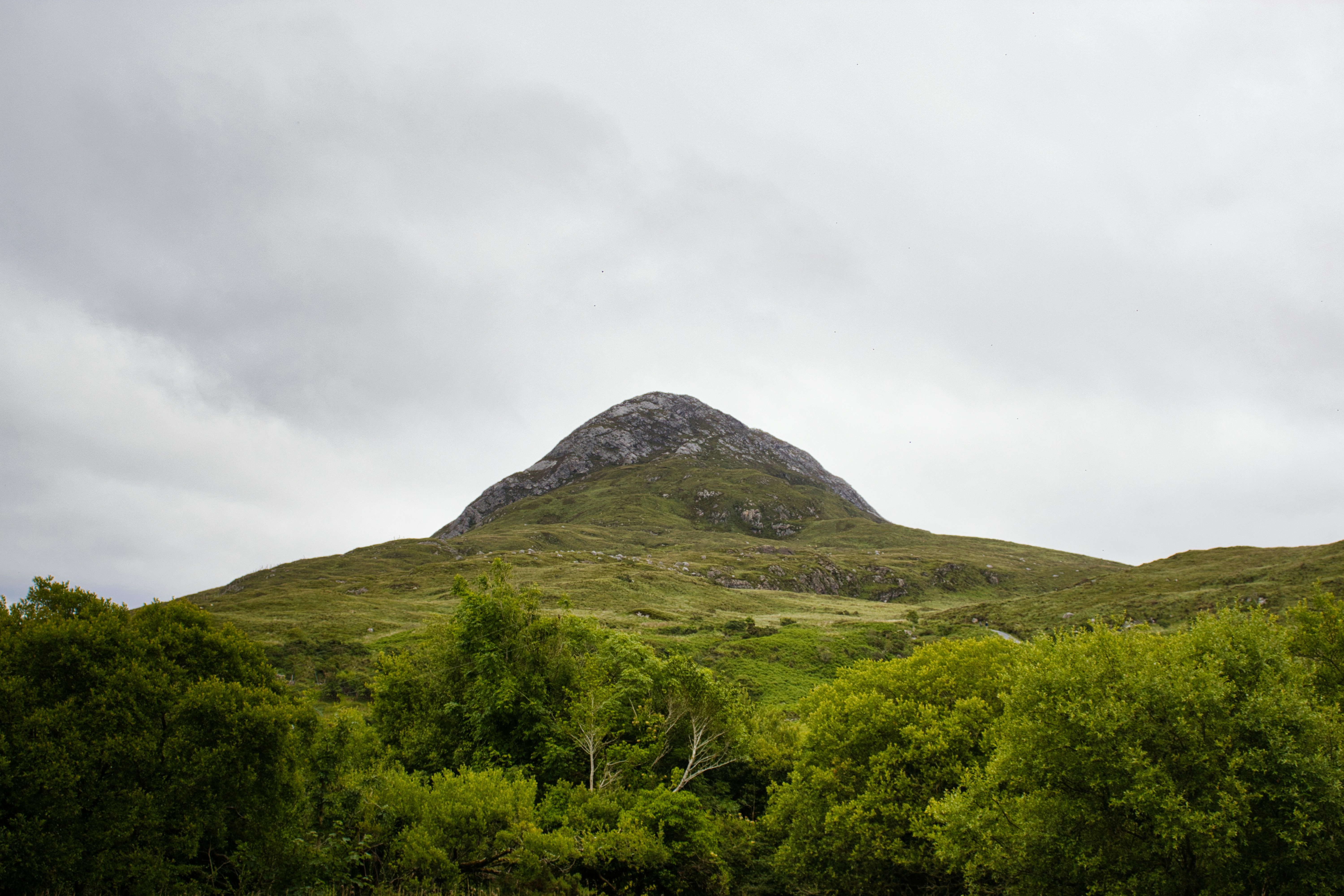 Photo by paws_and_prints