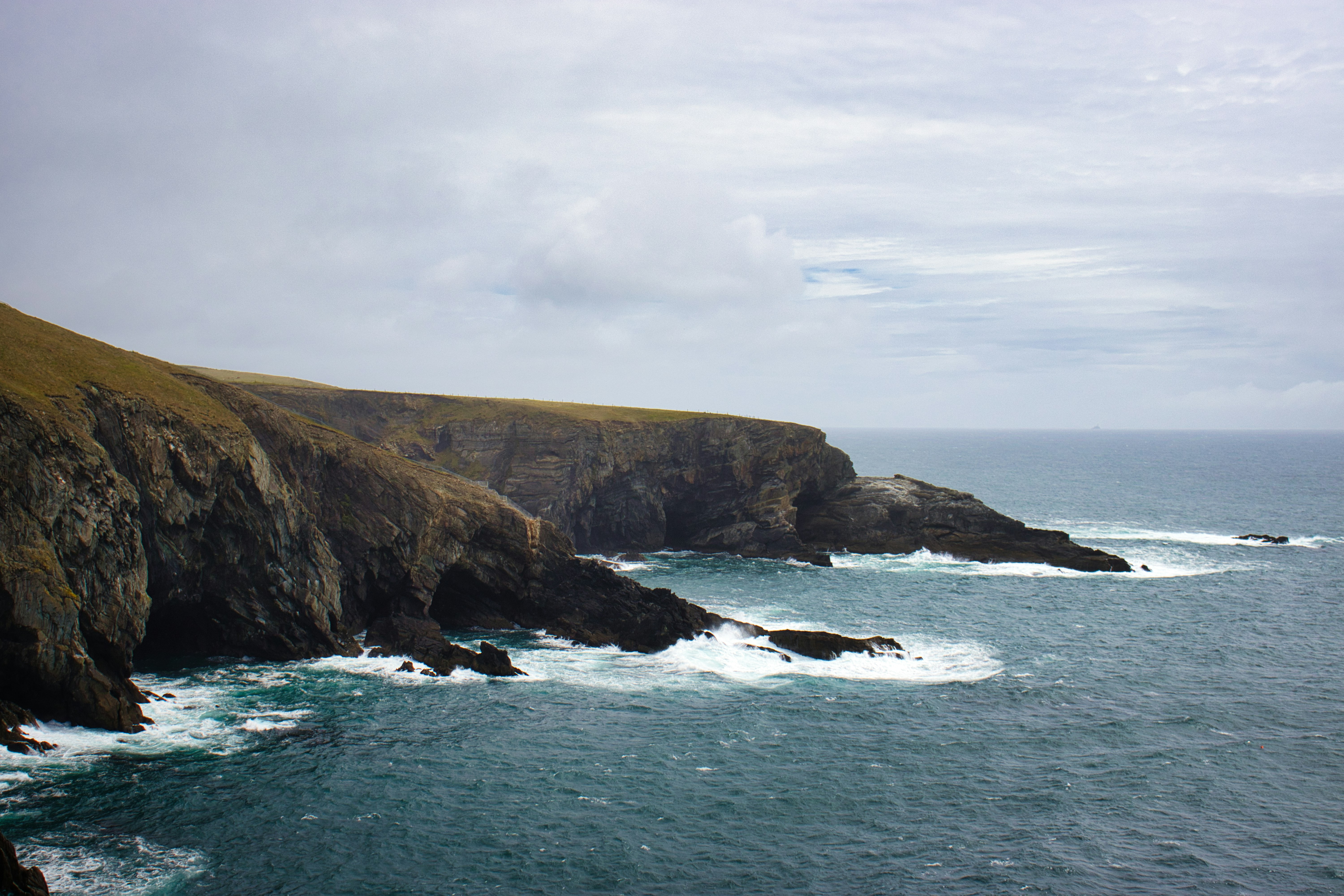 Photo by paws_and_prints