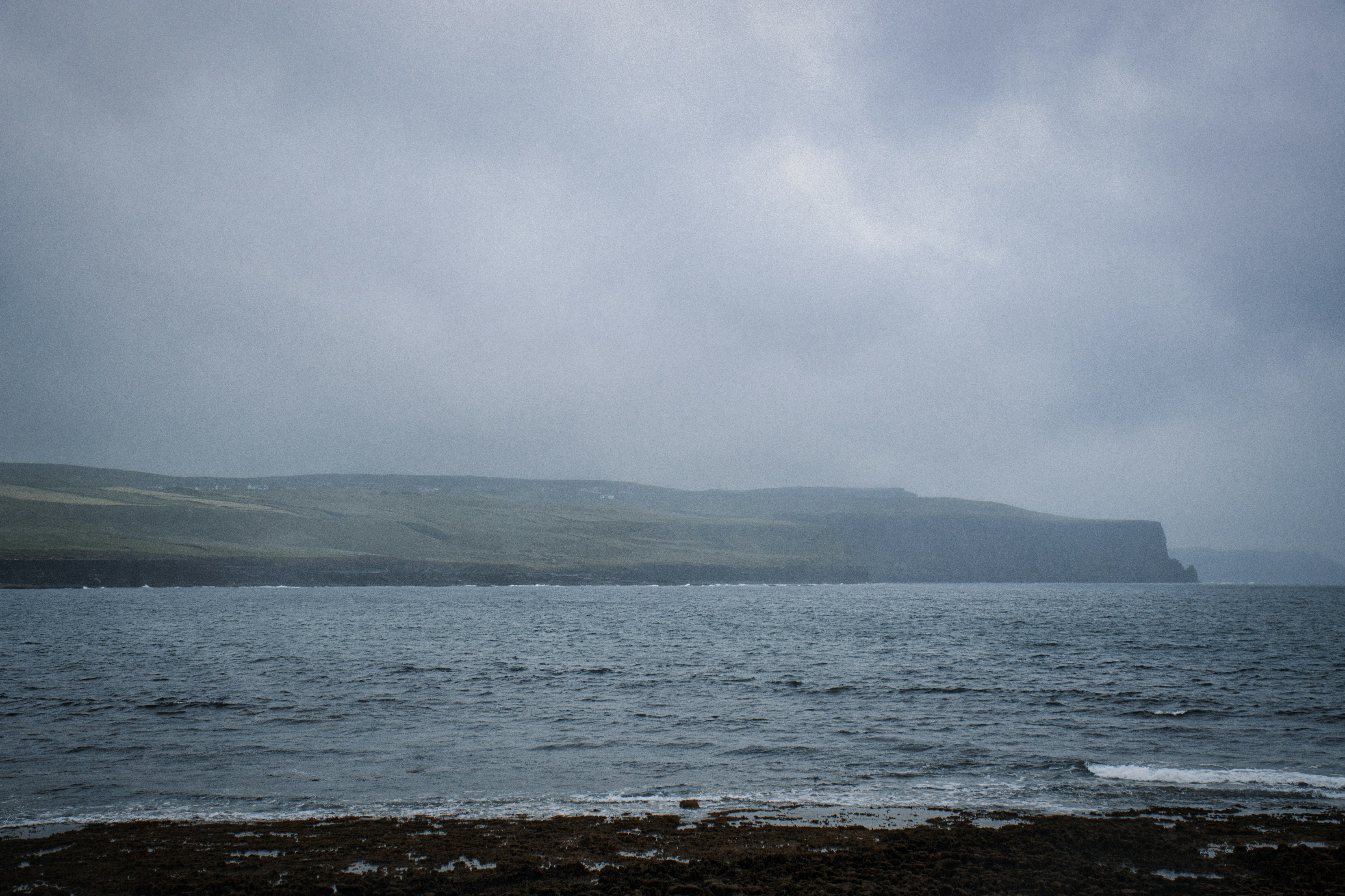 Photo by paws_and_prints