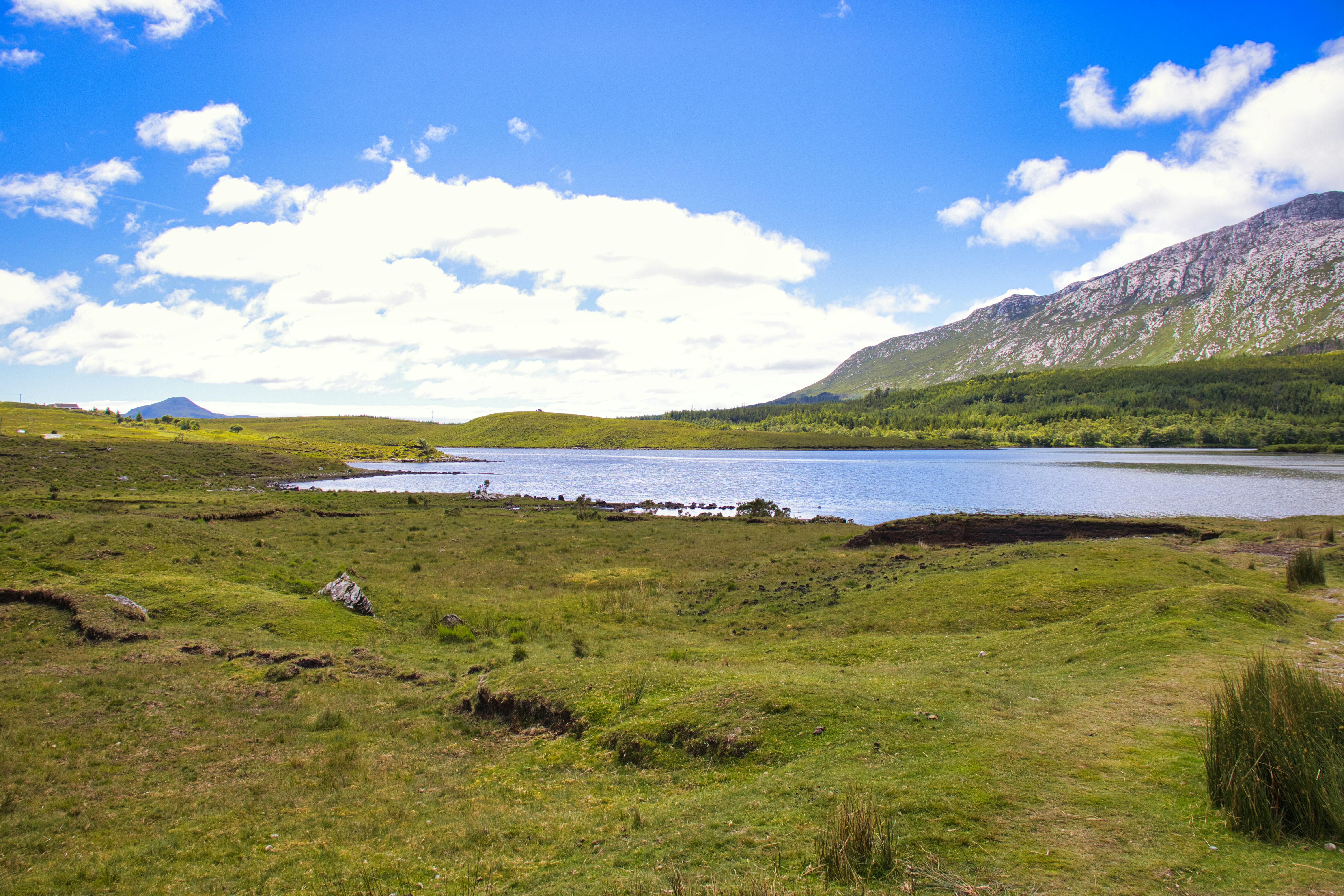 Photo by paws_and_prints