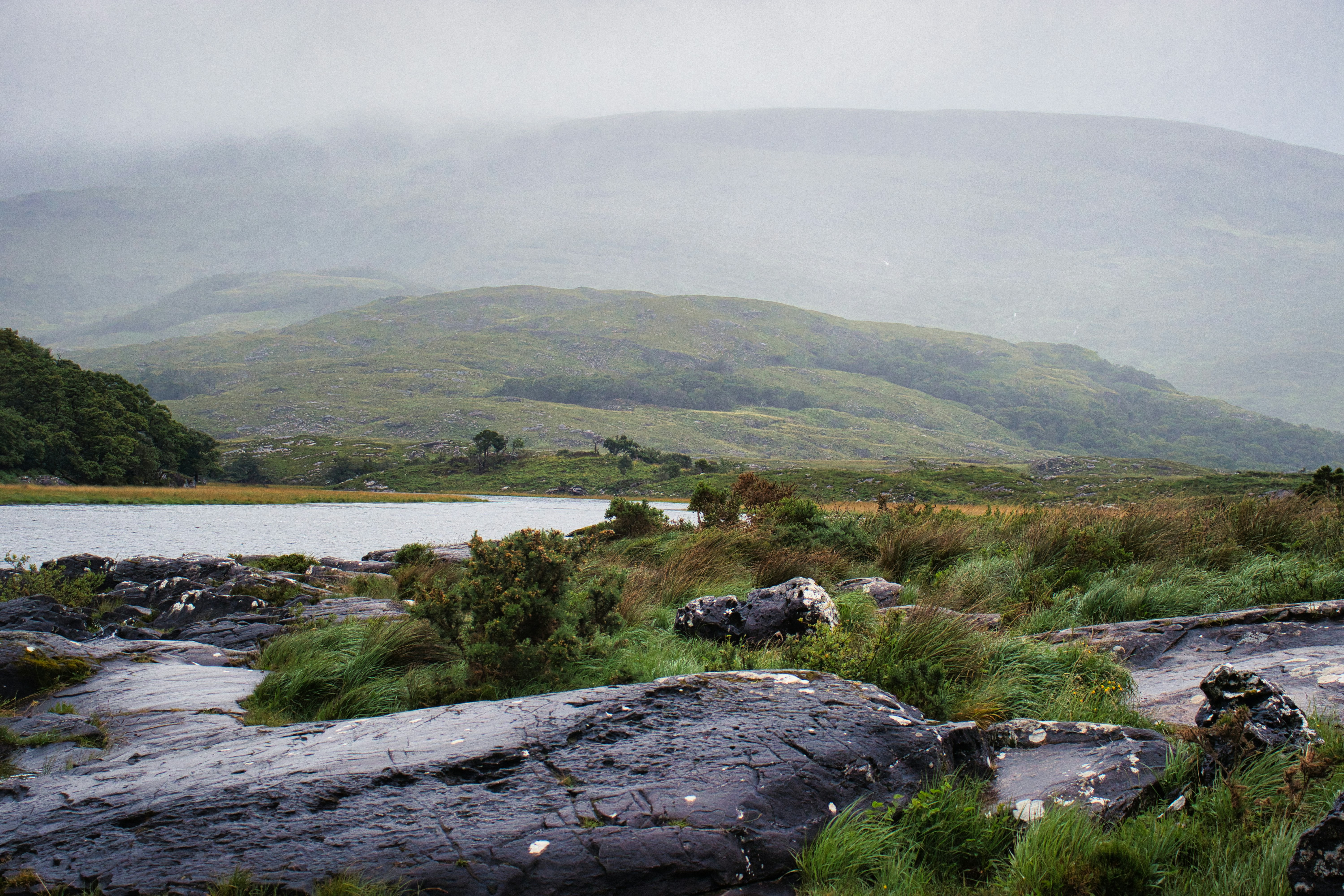 Photo by paws_and_prints