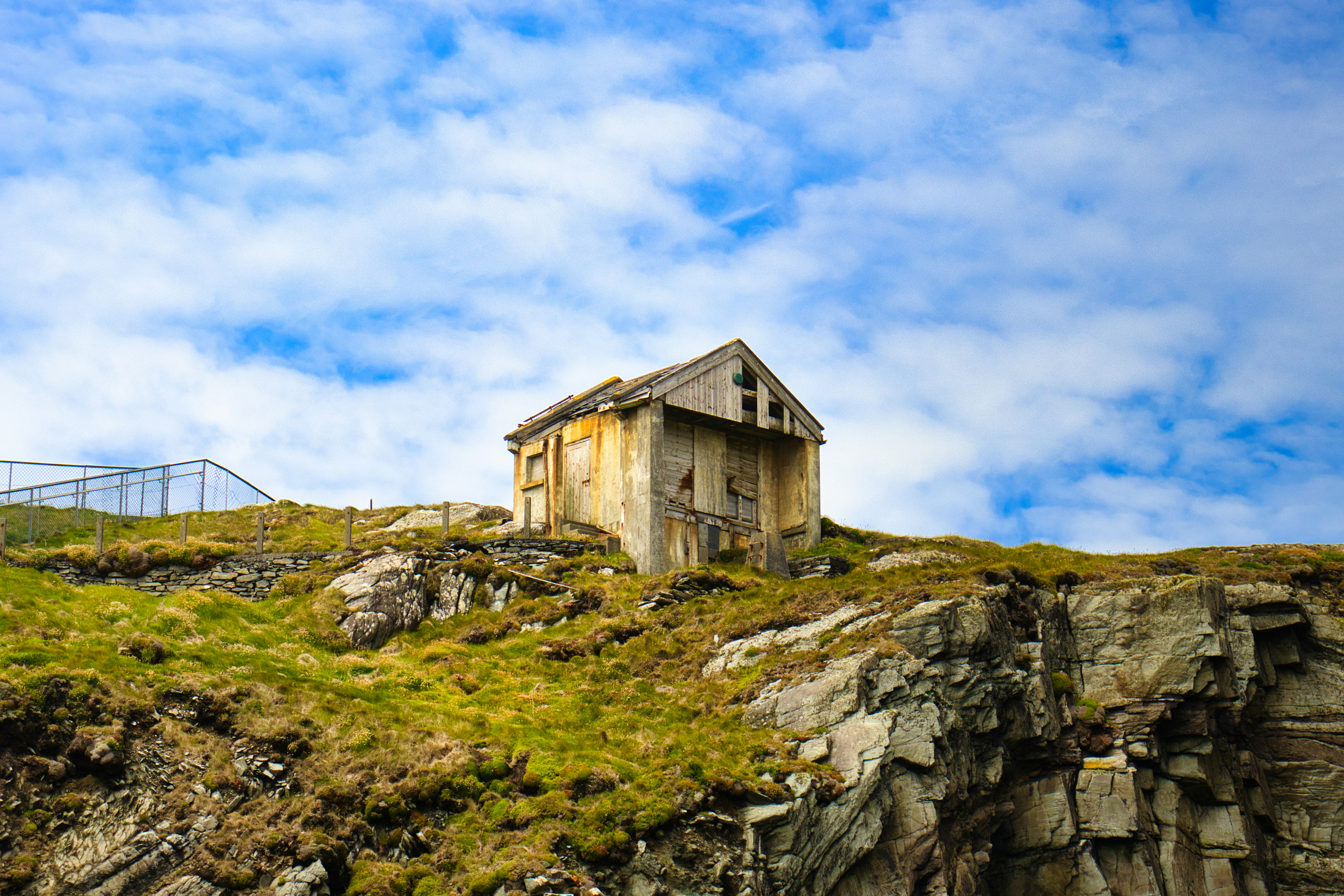 Photo by paws_and_prints