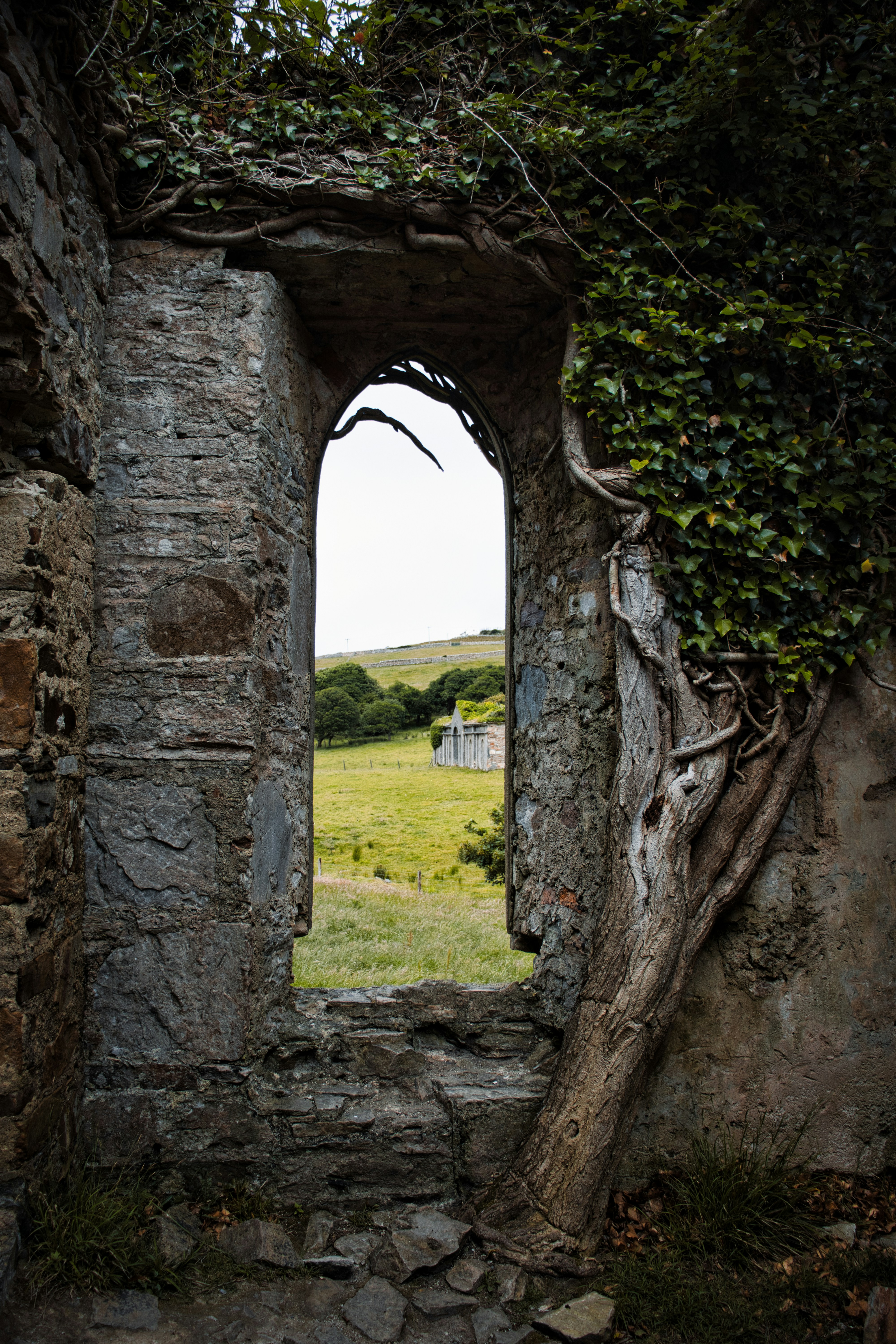 Photo by paws_and_prints