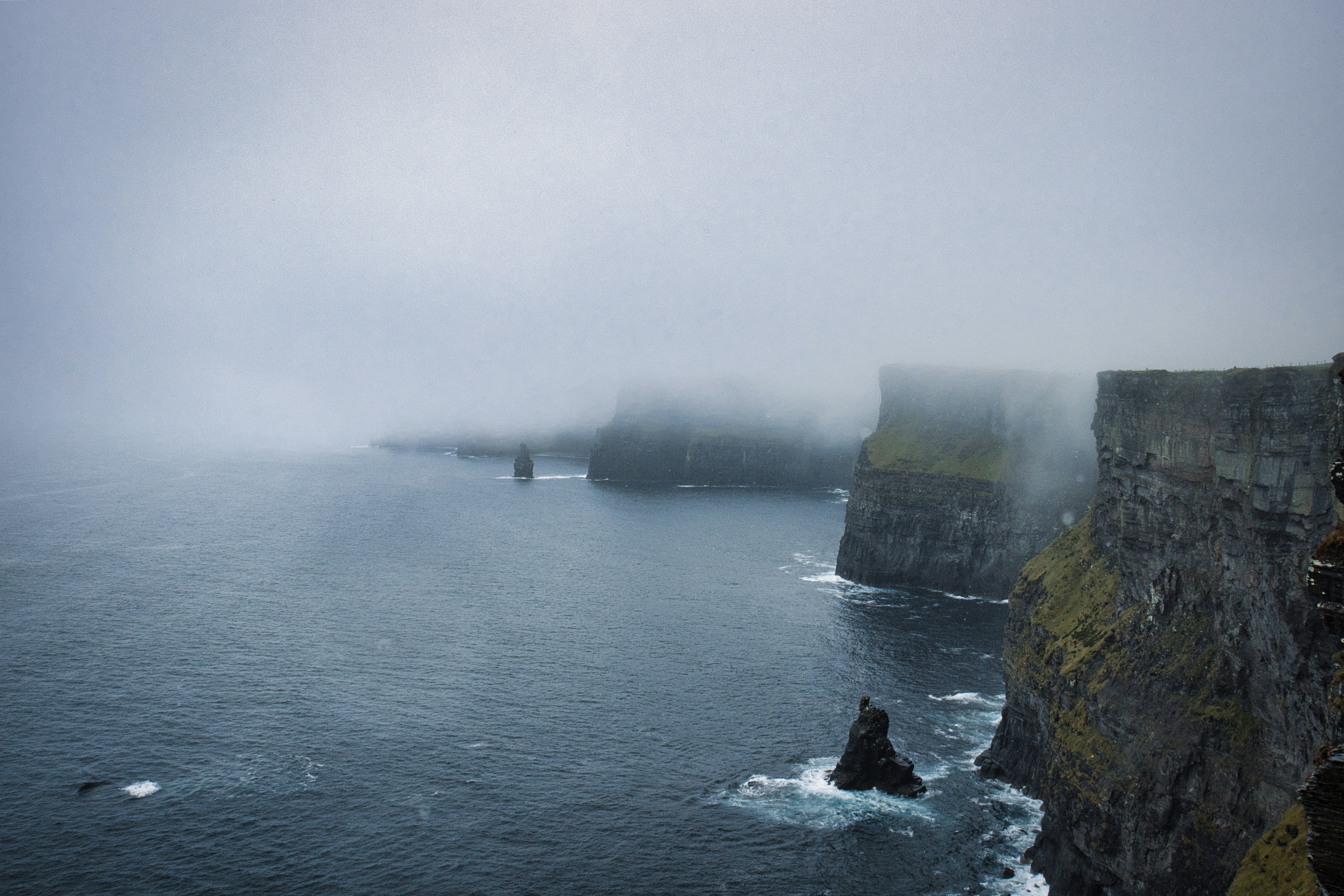 Photo by paws_and_prints