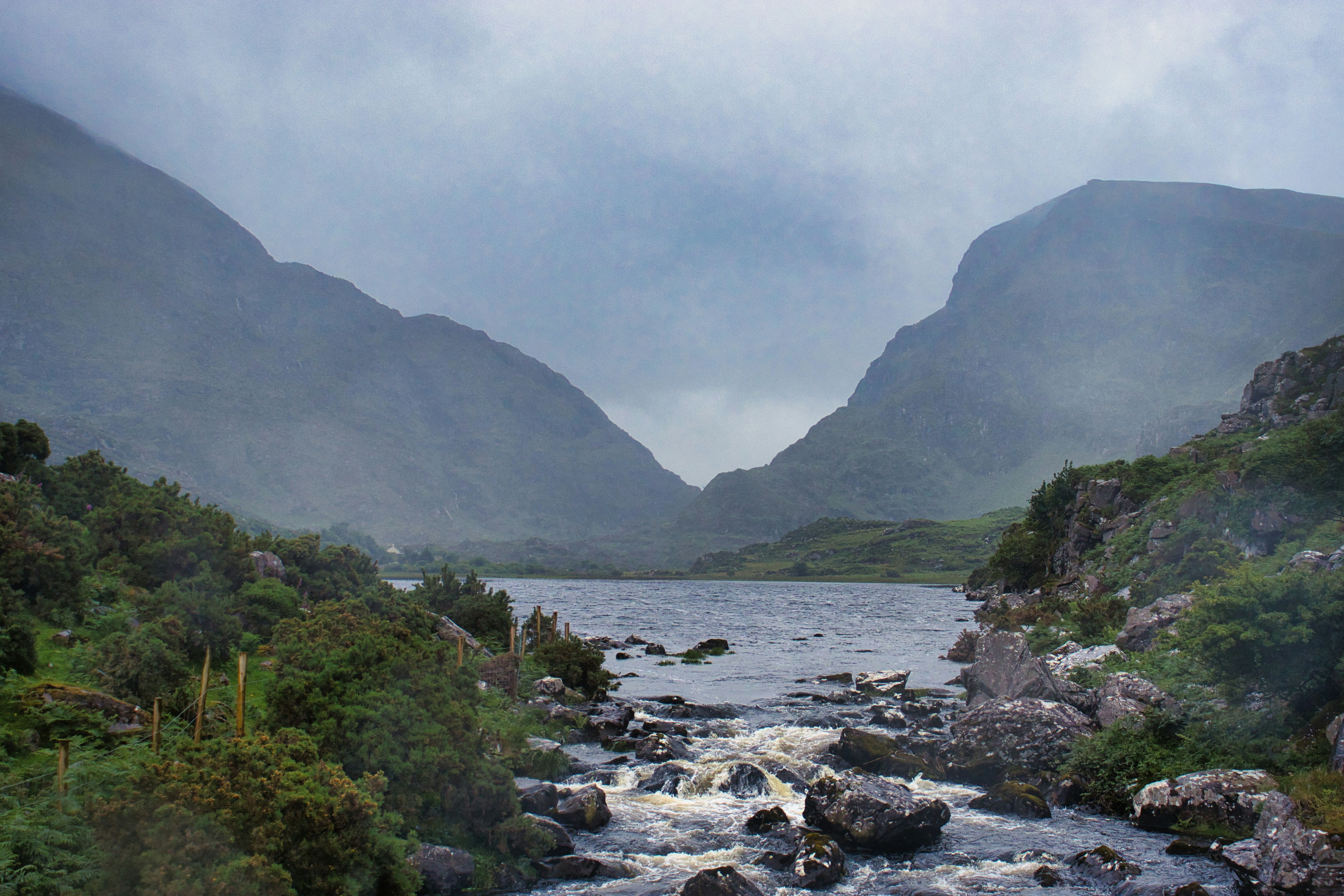 Photo by paws_and_prints