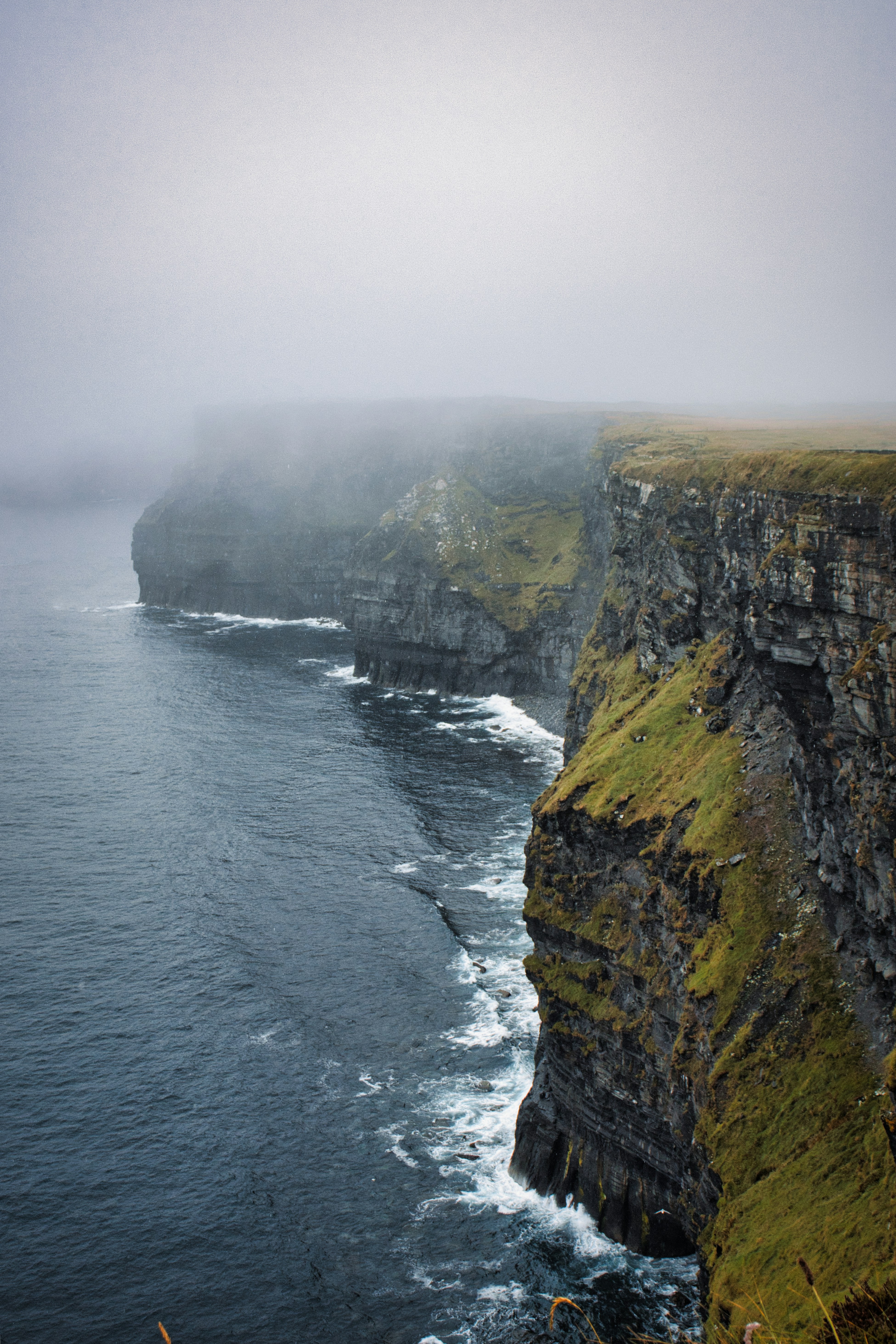 Photo by paws_and_prints