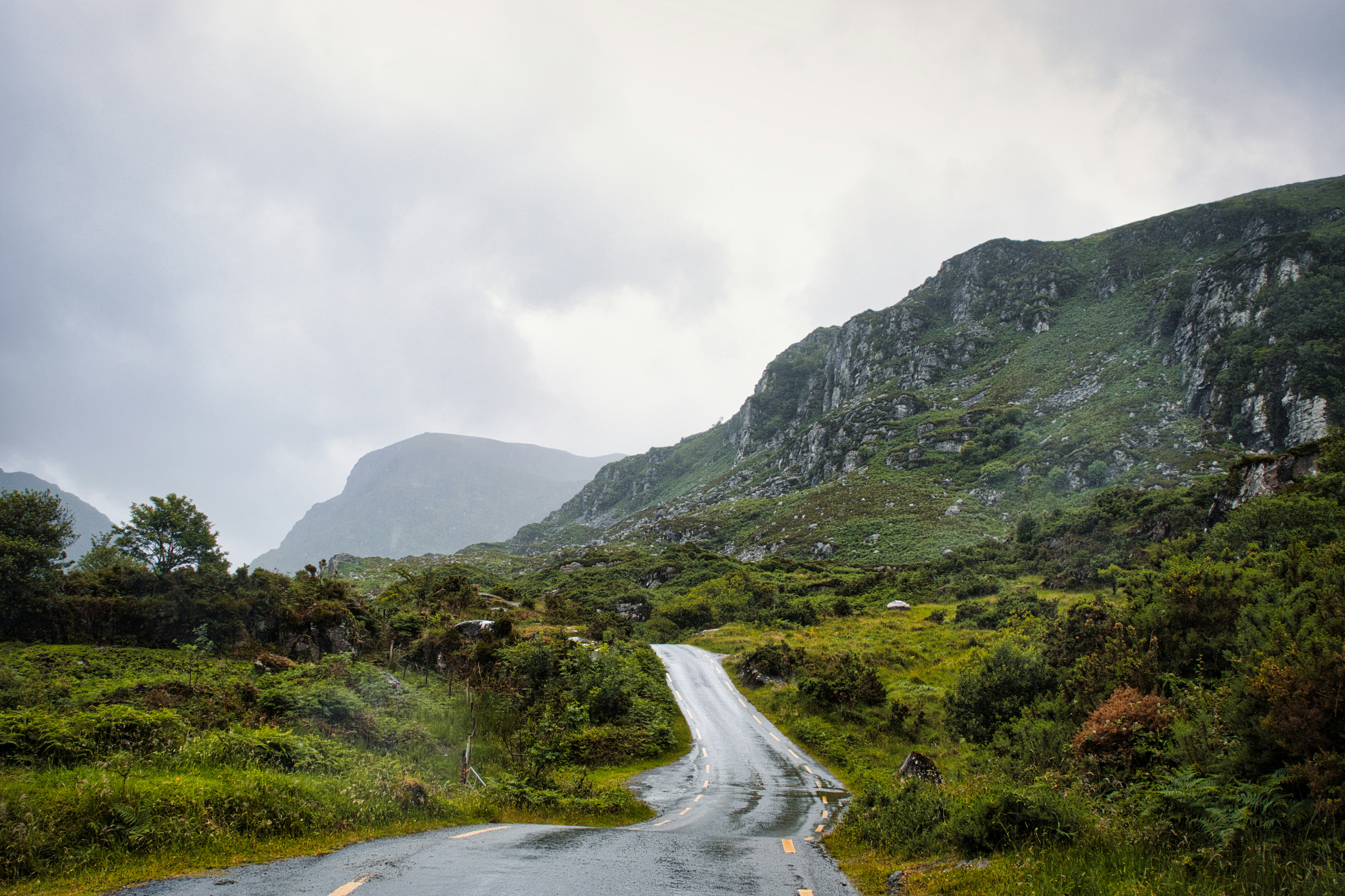 Photo by paws_and_prints